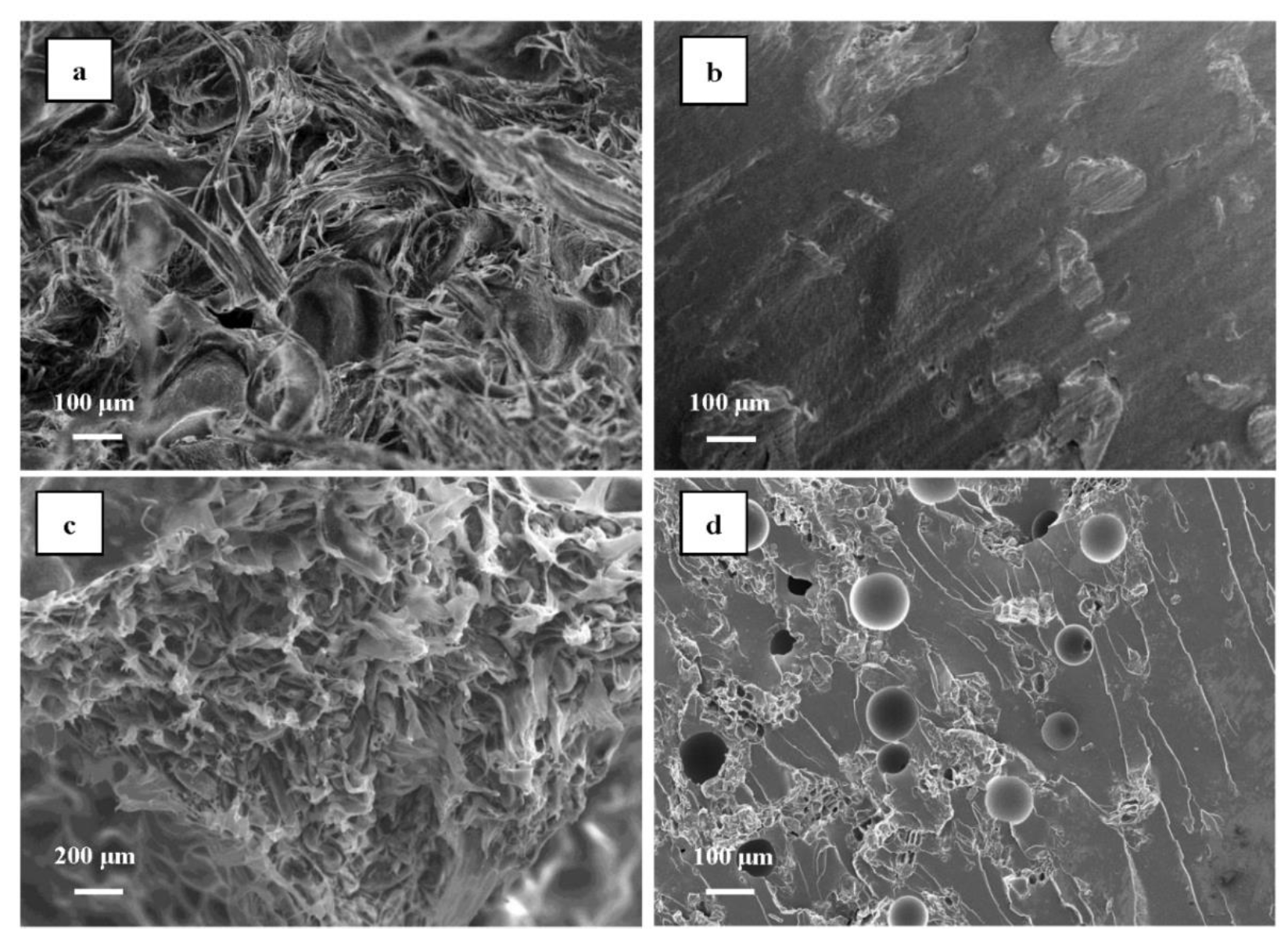 Polymers 14 05064 g007