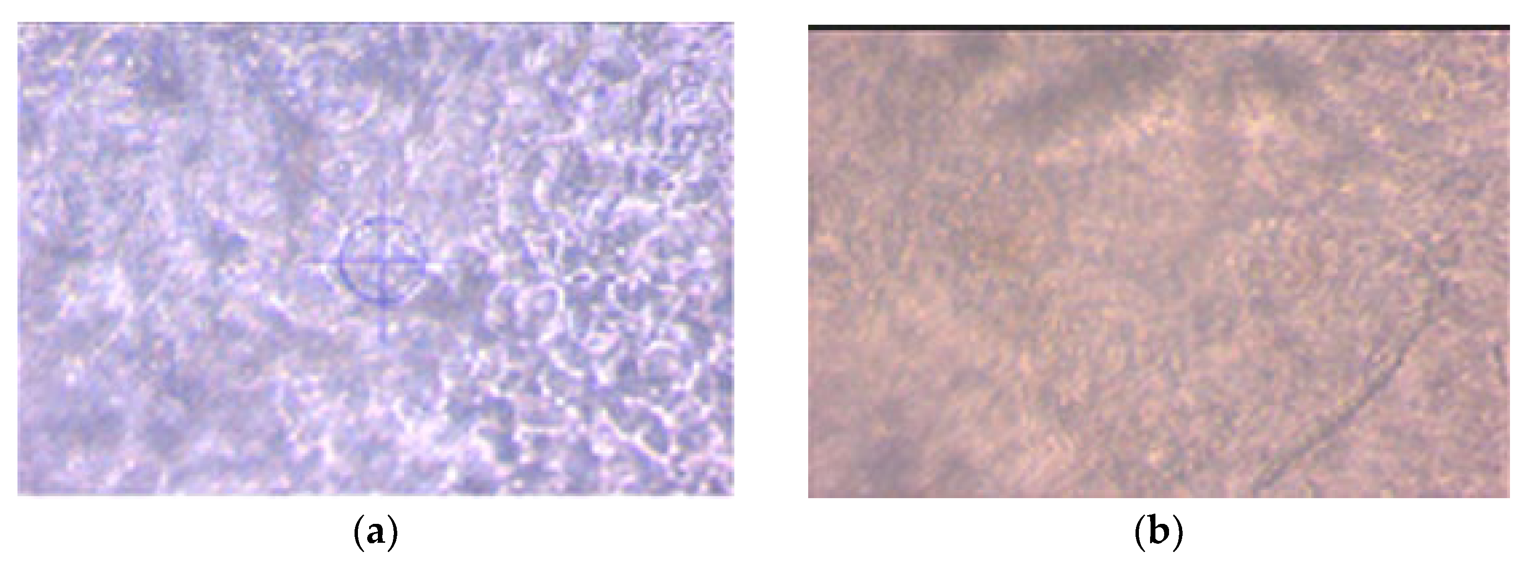 Polymers 14 05077 g001a Polymers 14 05077 g001a
