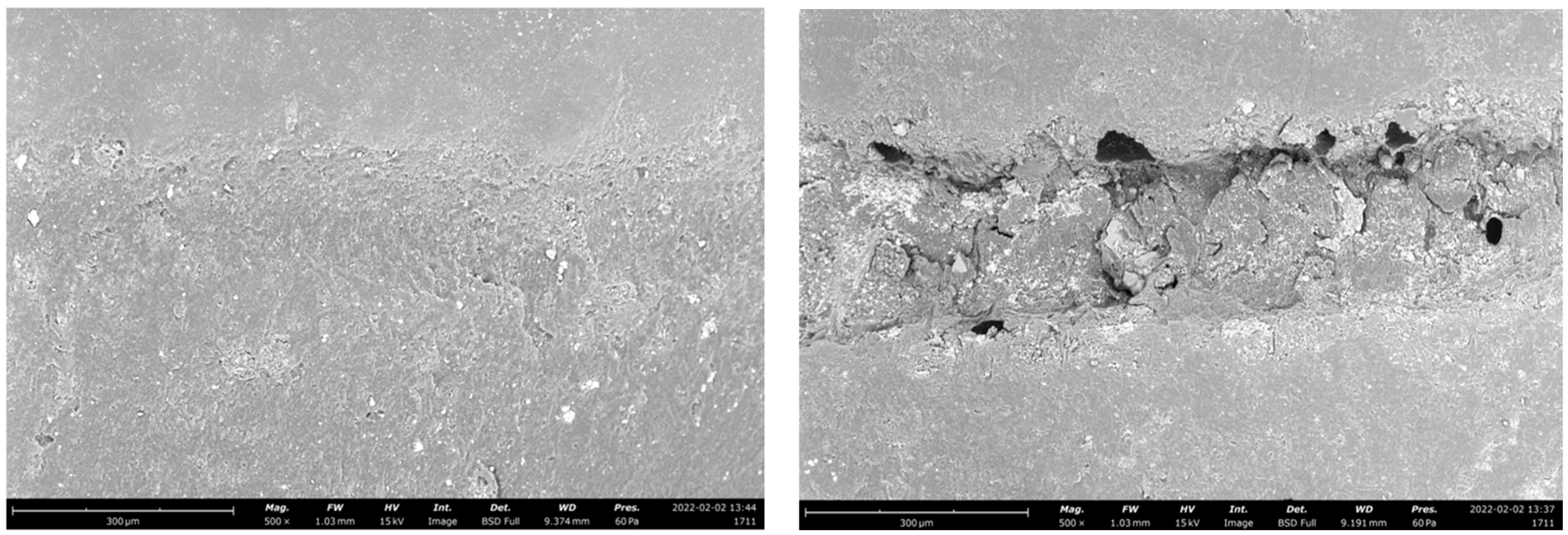 Polymers 14 05084 g001 Polymers 14 05084 g001