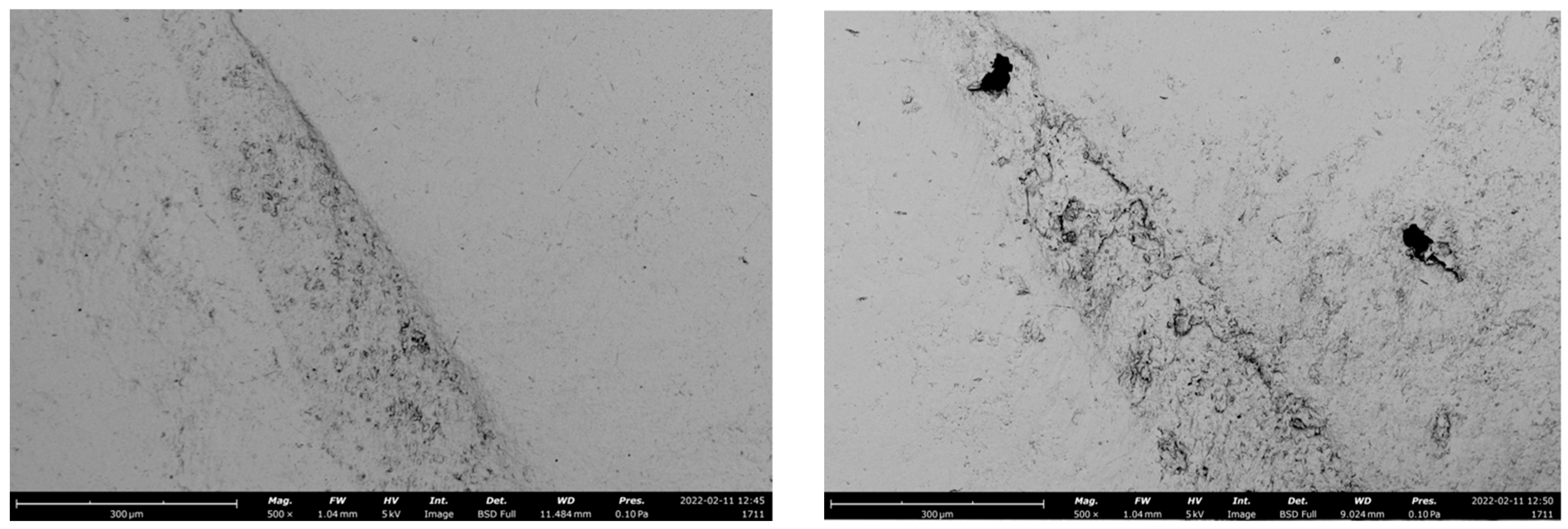 Polymers 14 05084 g002 Polymers 14 05084 g002