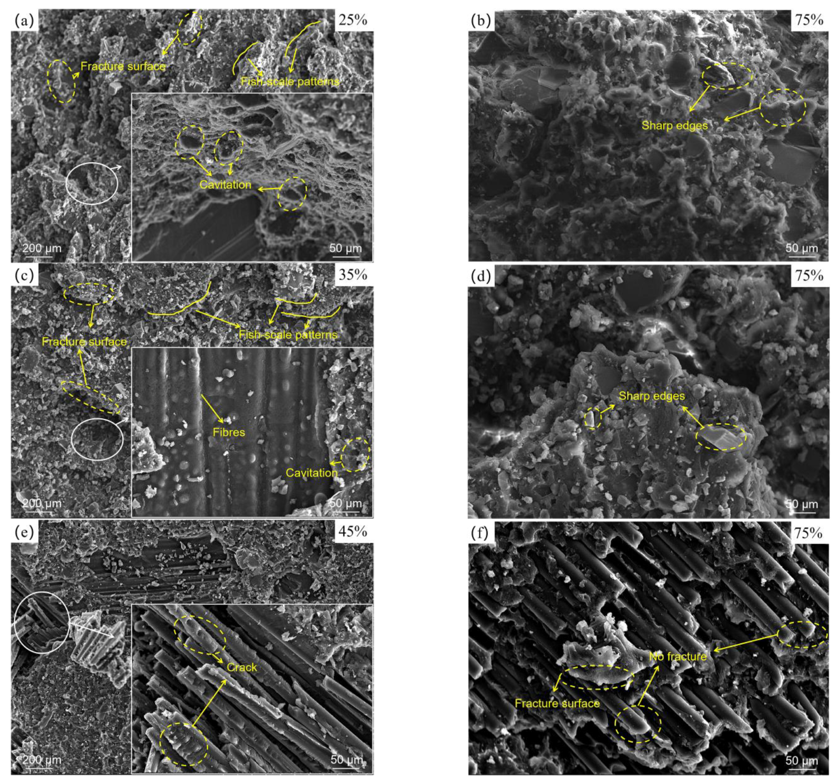 Polymers 14 05088 g009 Polymers 14 05088 g009