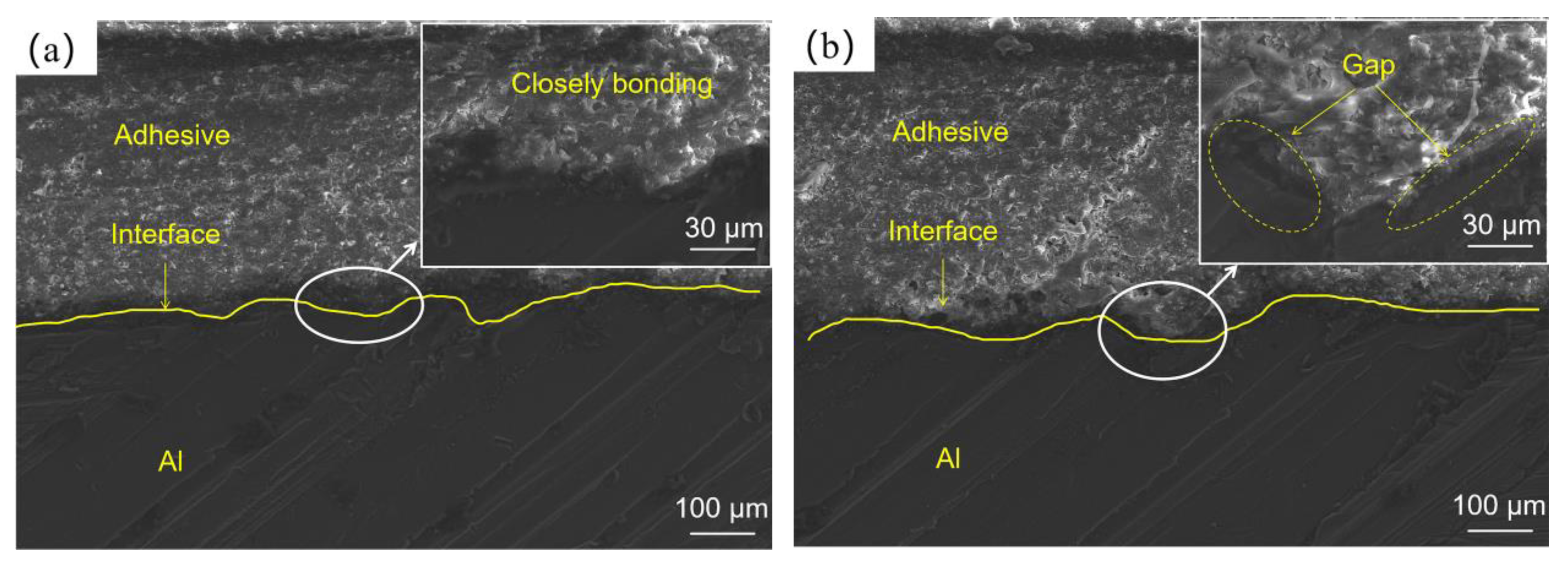 Polymers 14 05088 g010 Polymers 14 05088 g010