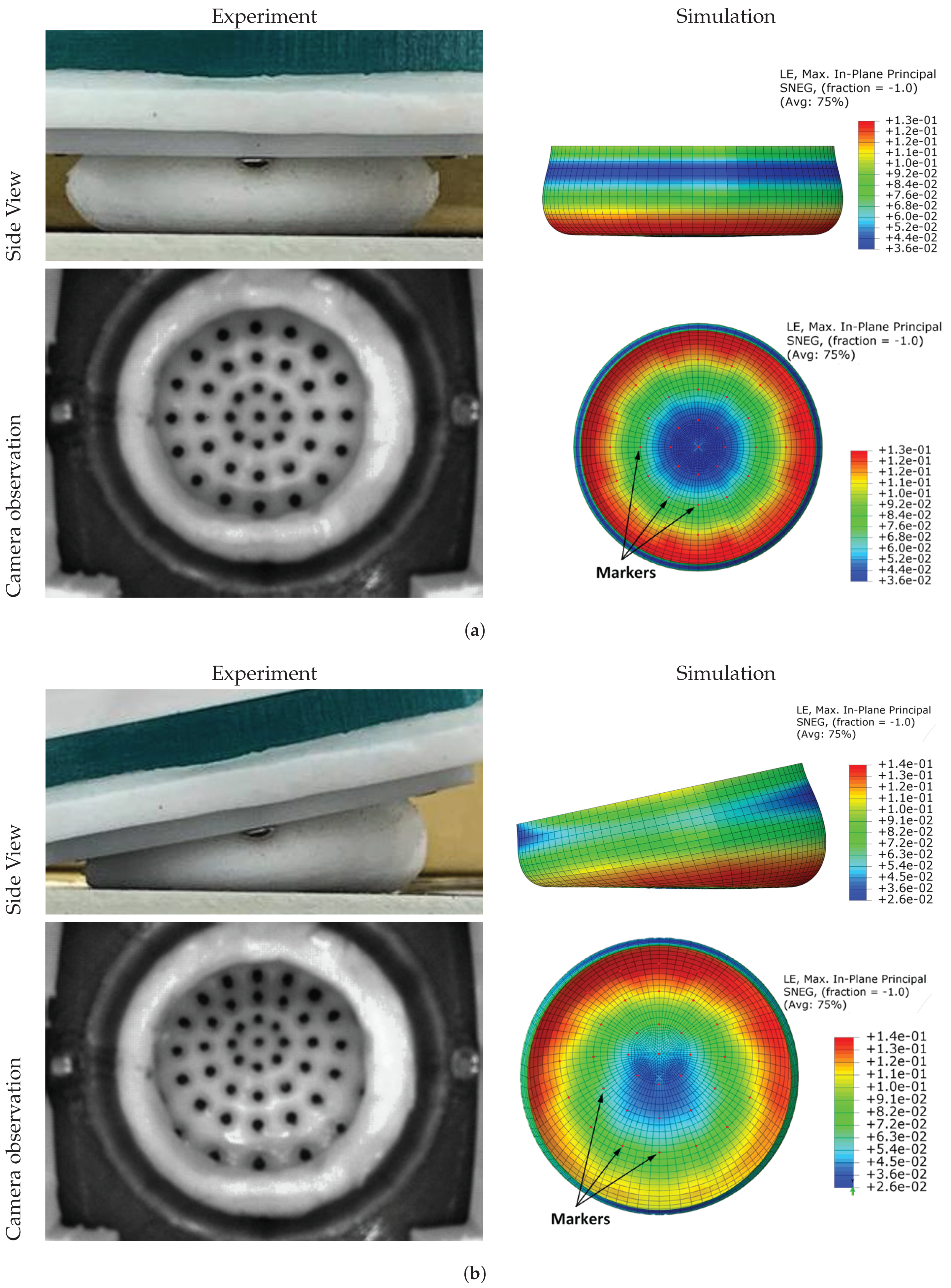 Polymers 14 05097 g010