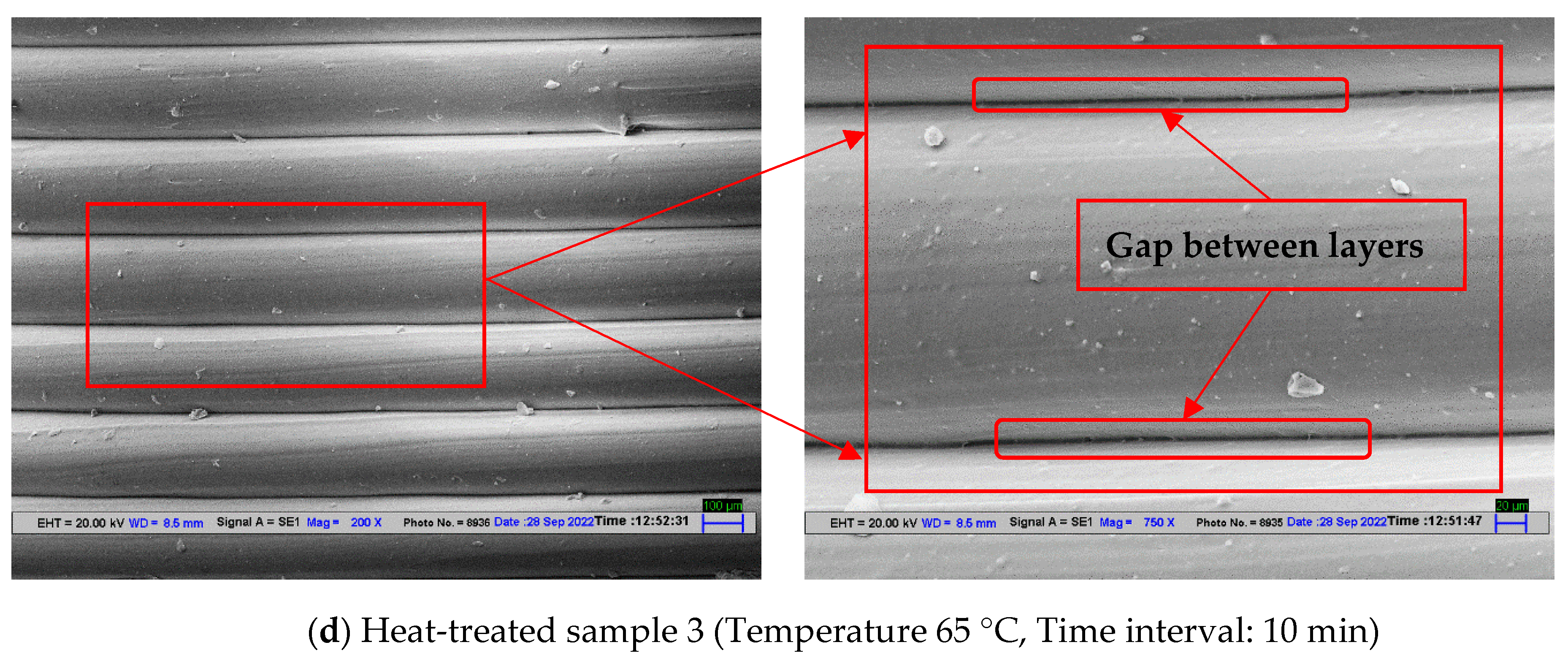 Polymers 14 05098 g009b Polymers 14 05098 g009b