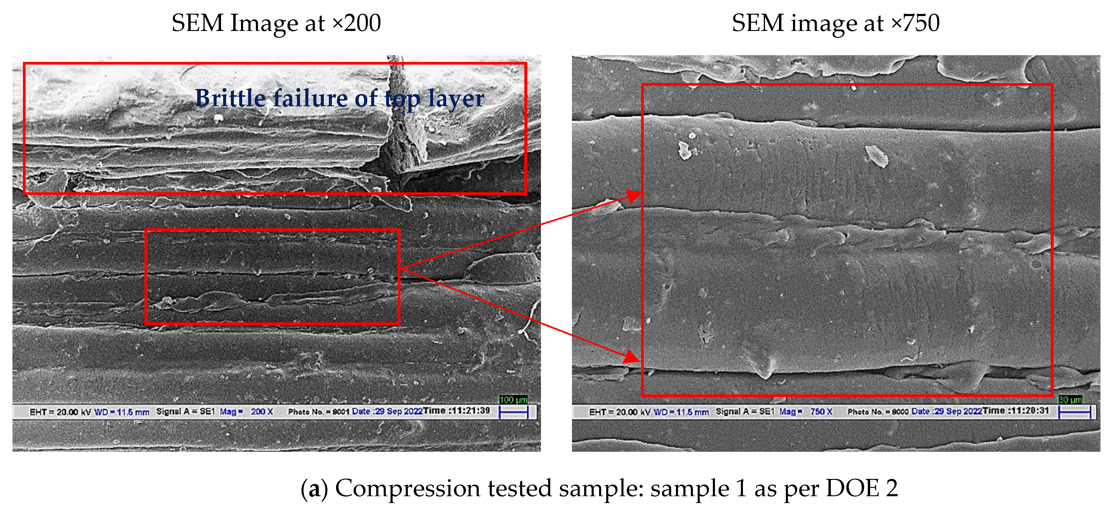 Polymers 14 05098 g010a Polymers 14 05098 g010a