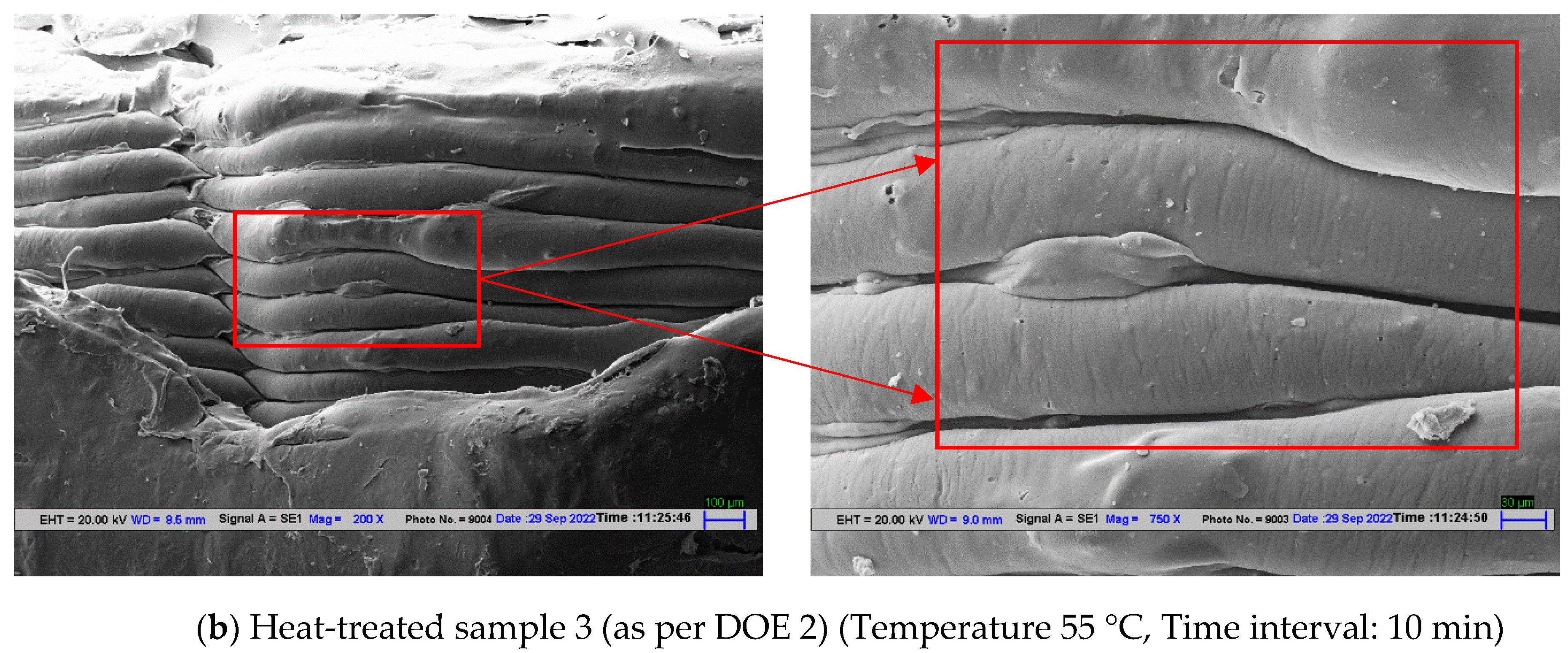 Polymers 14 05098 g010b Polymers 14 05098 g010b