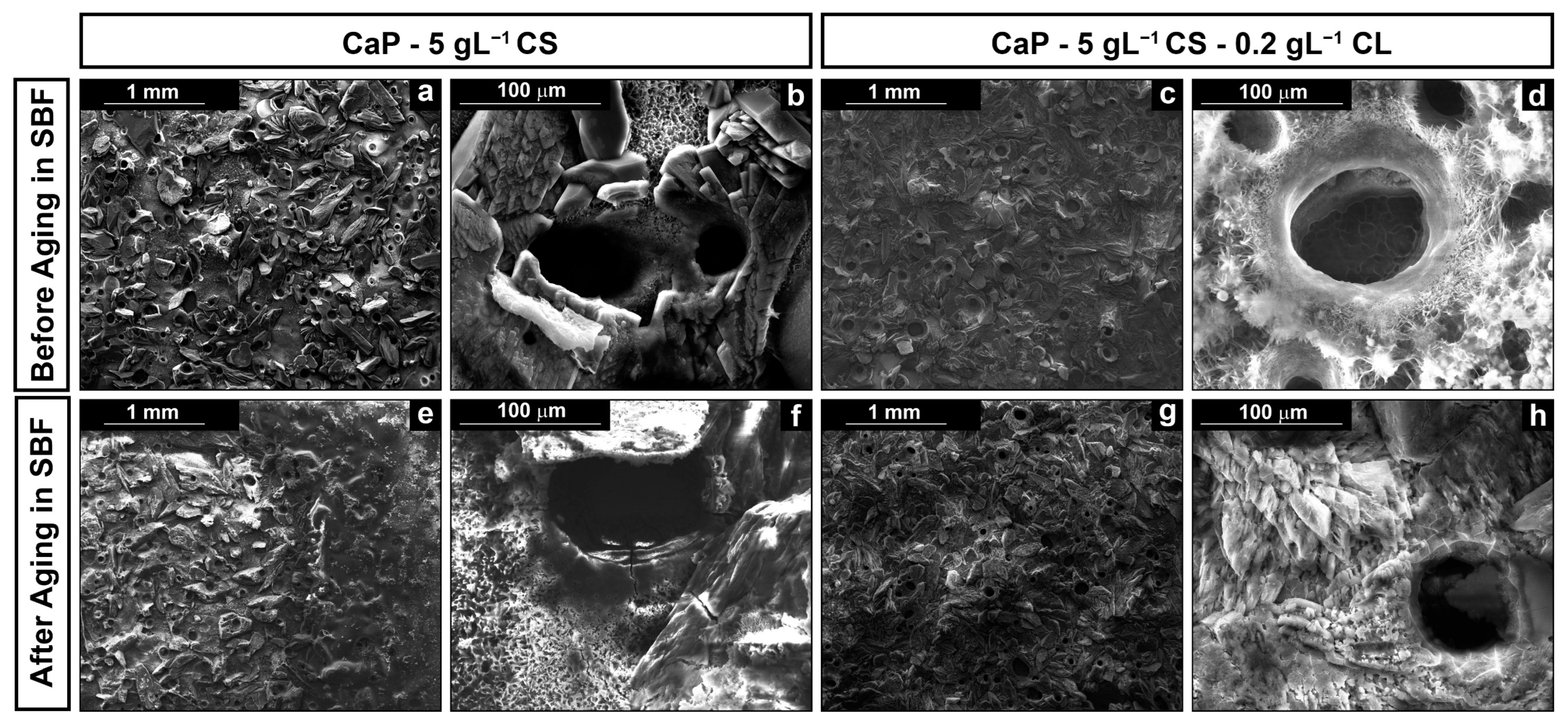Polymers 14 05108 g001
