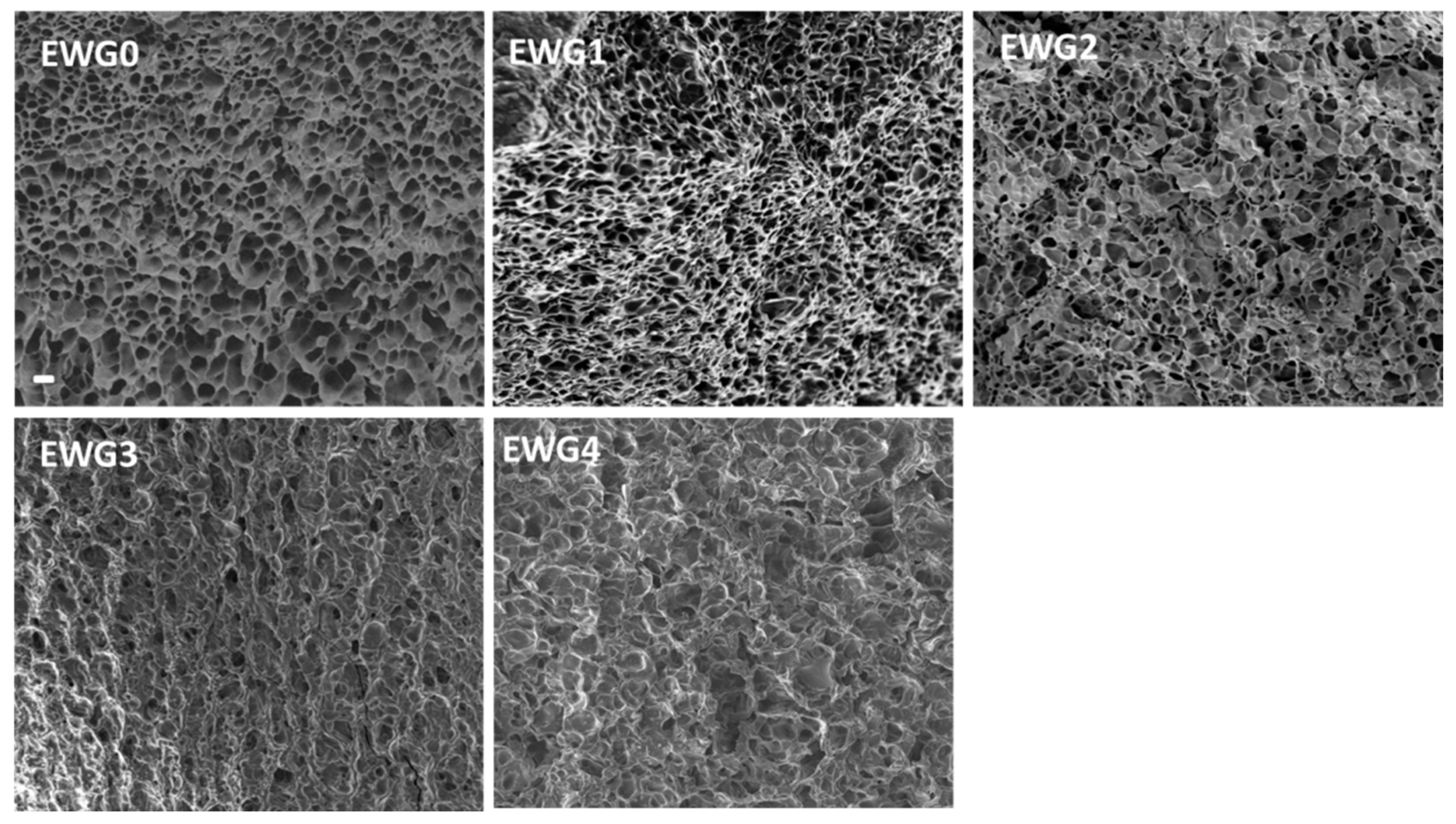 Polymers 14 05116 g003