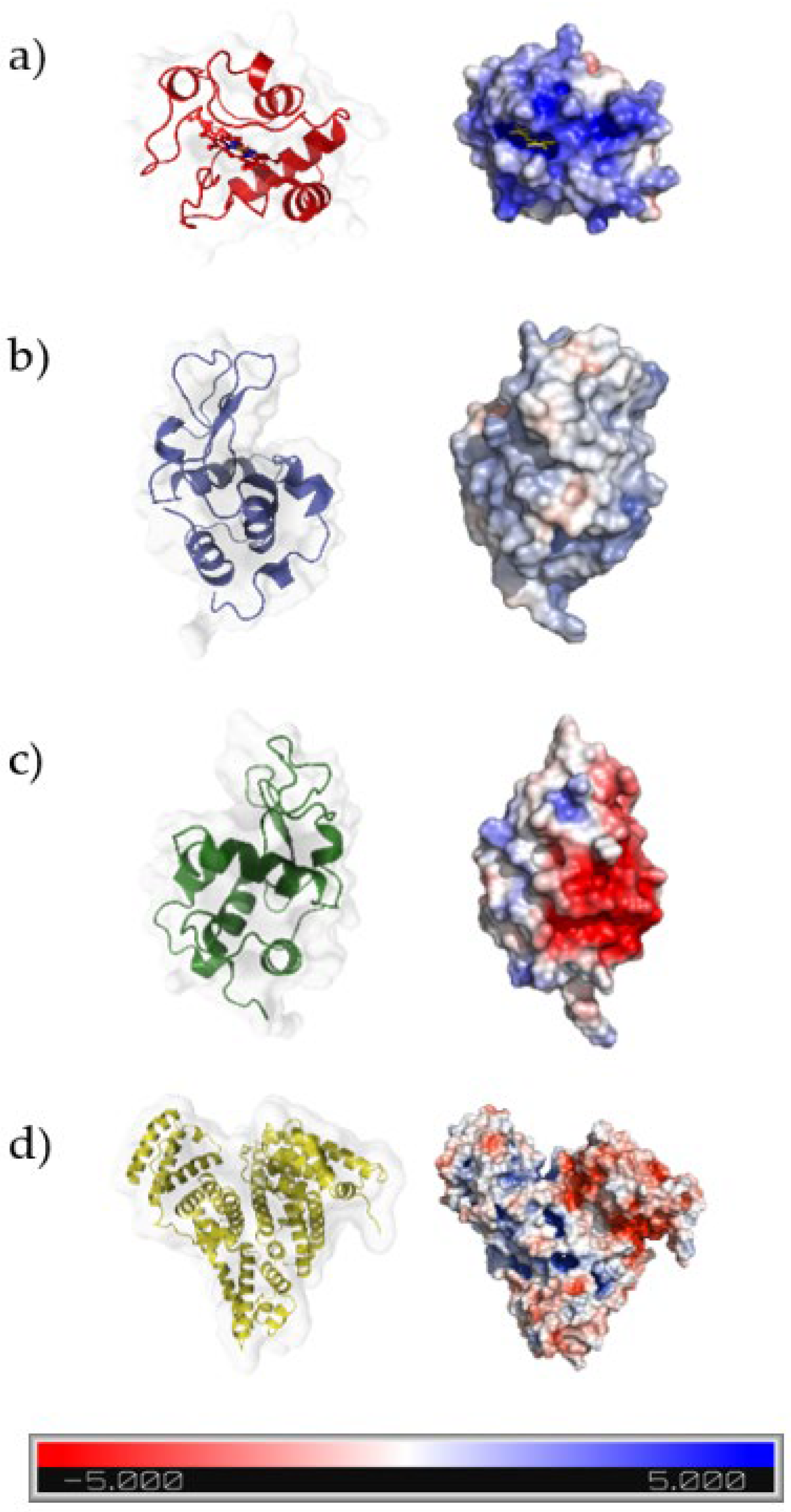 Polymers 14 05122 g011