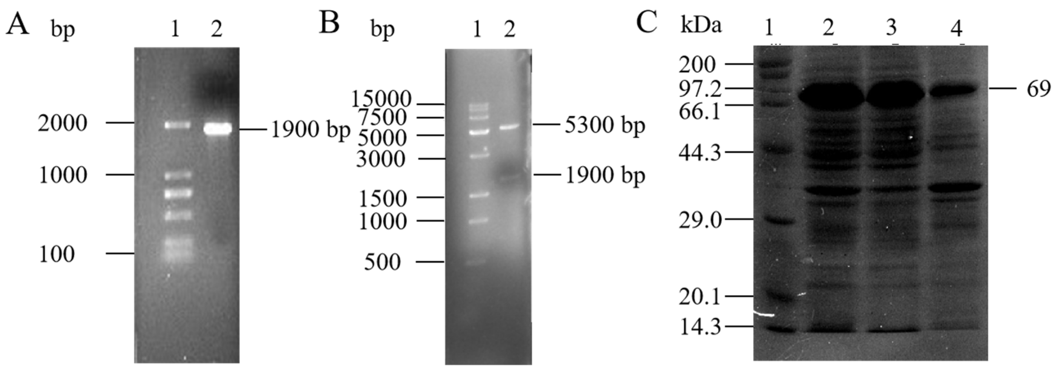 Polymers 14 05127 g003