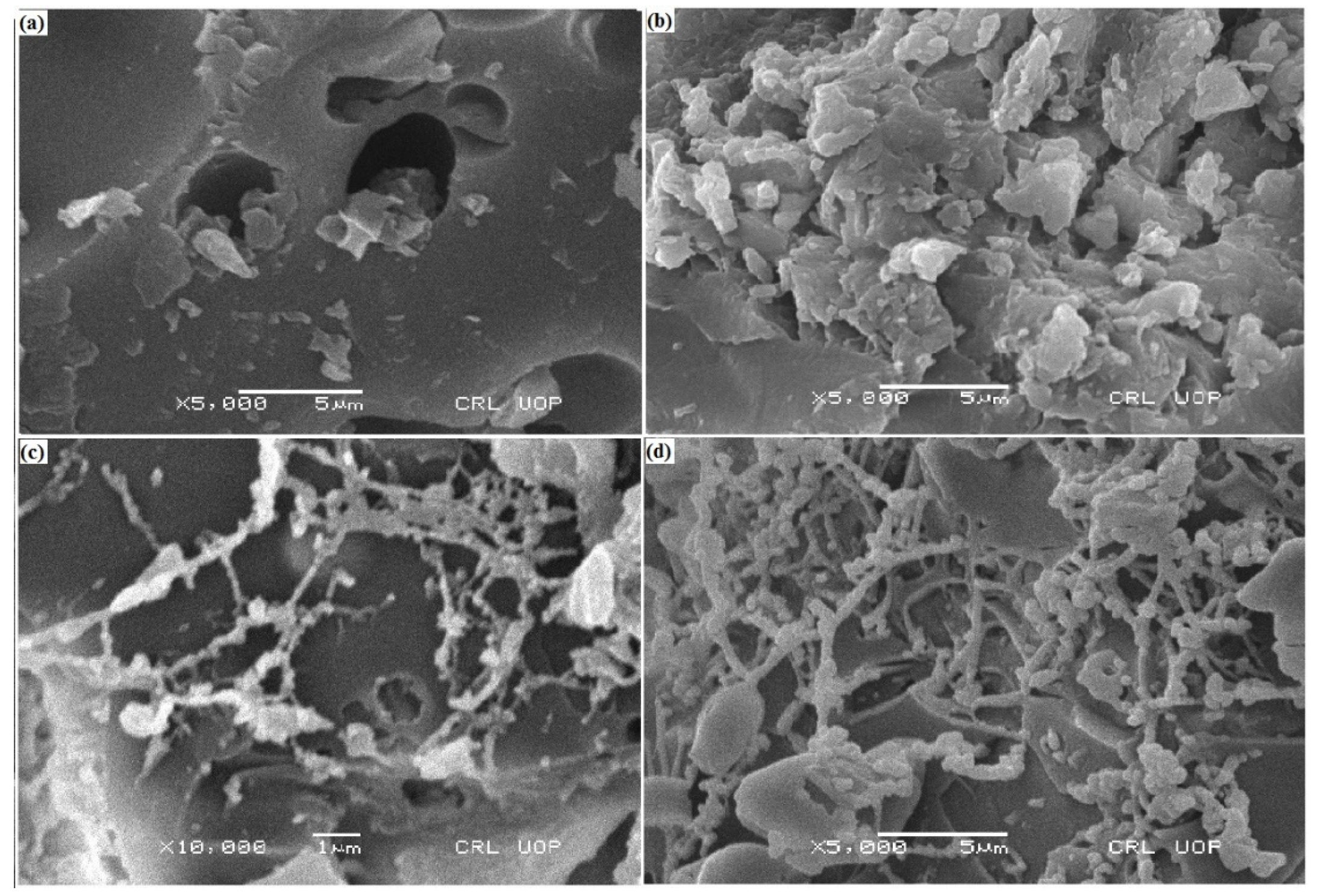 Polymers 14 05128 g006 Polymers 14 05128 g006