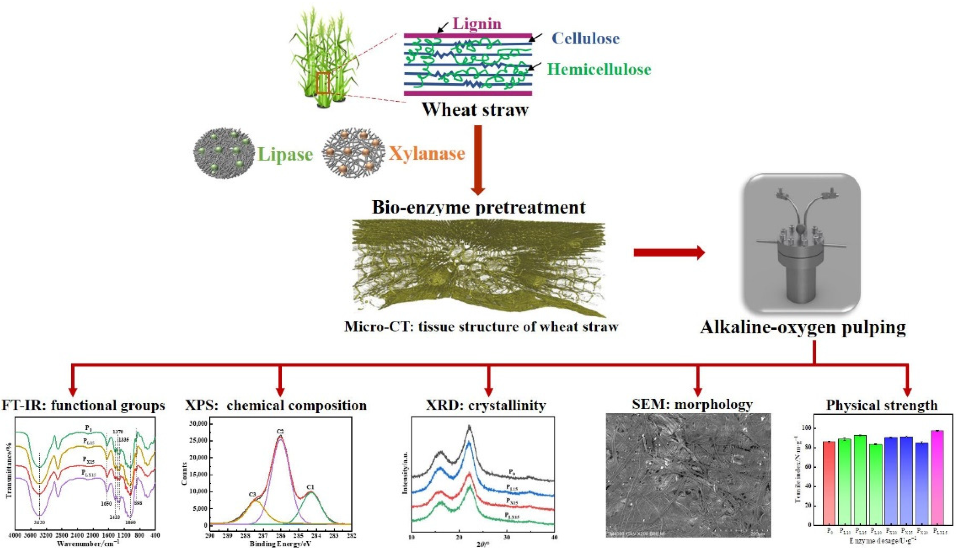 Polymers 14 05129 g001