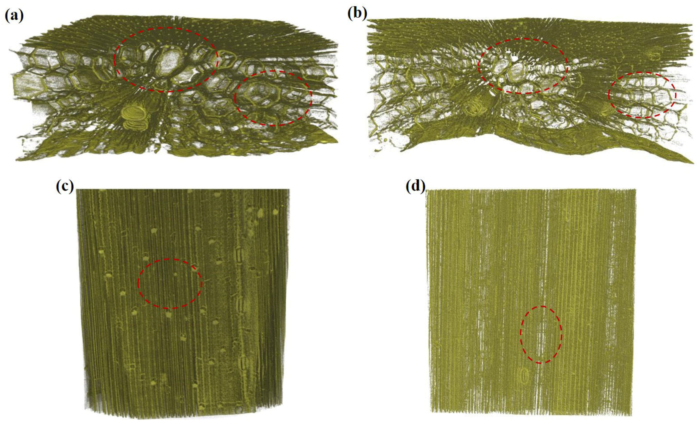 Polymers 14 05129 g007a