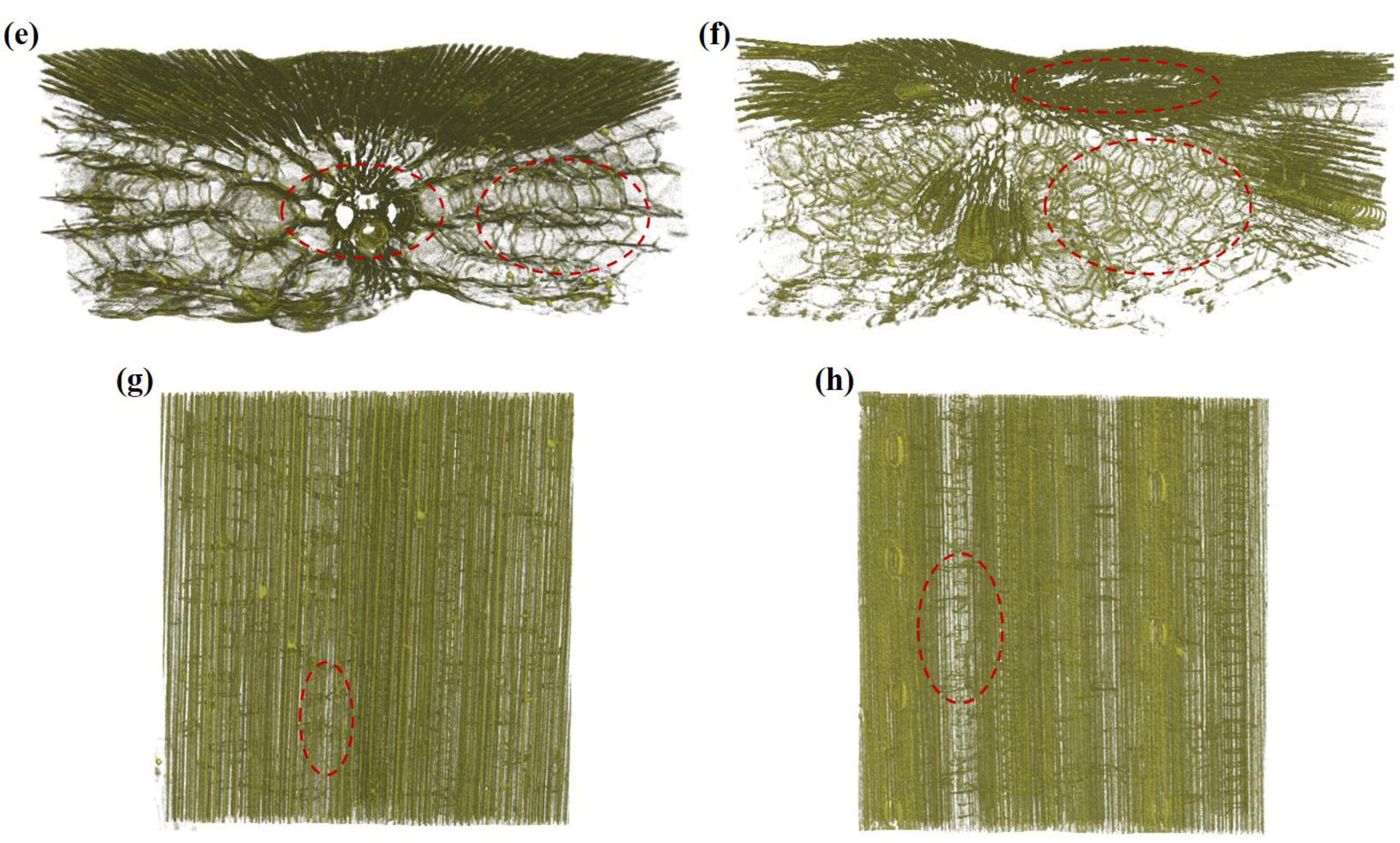 Polymers 14 05129 g007b