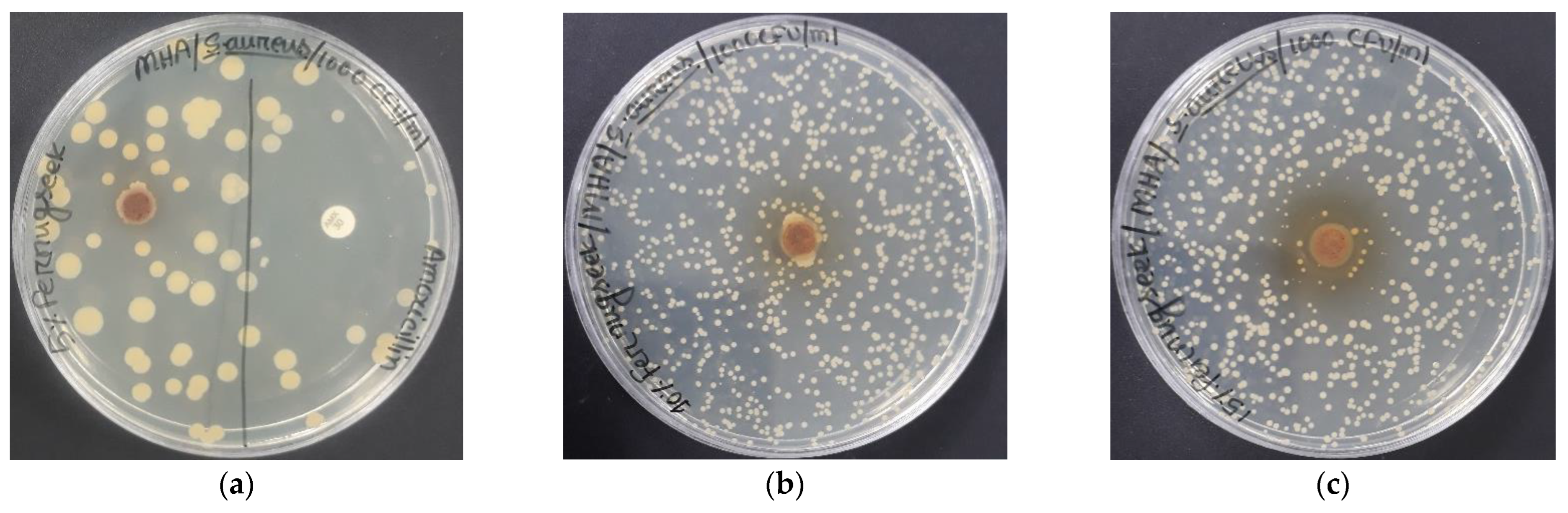 Polymers 14 05141 g013 Polymers 14 05141 g013