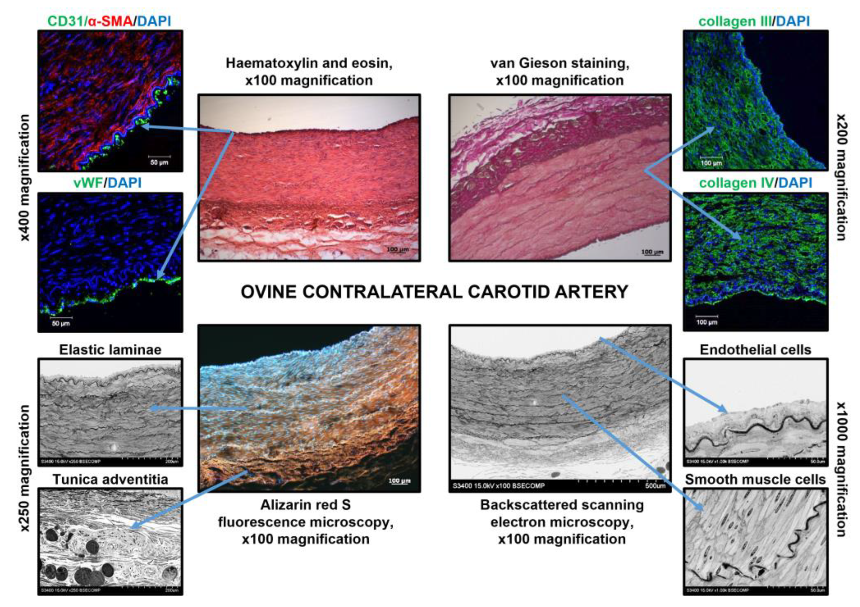 Polymers 14 05149 g007 Polymers 14 05149 g007