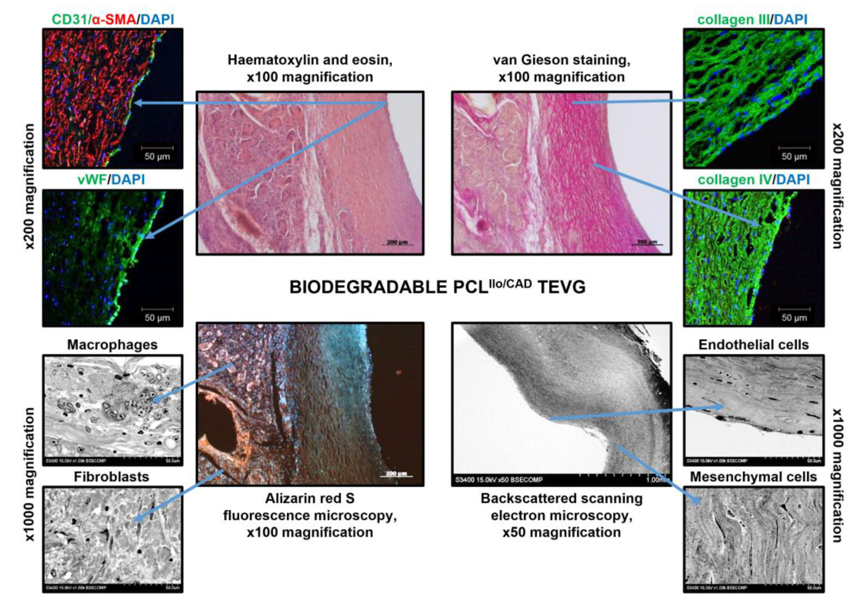 Polymers 14 05149 g008 Polymers 14 05149 g008