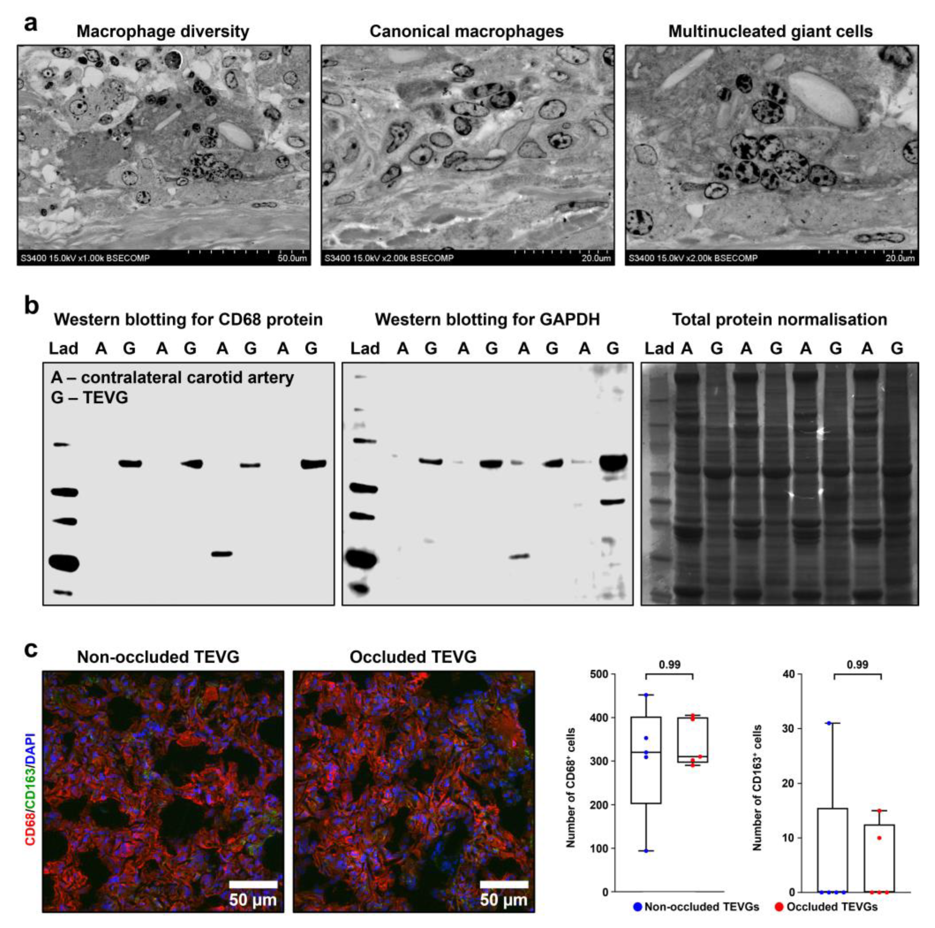 Polymers 14 05149 g011 Polymers 14 05149 g011