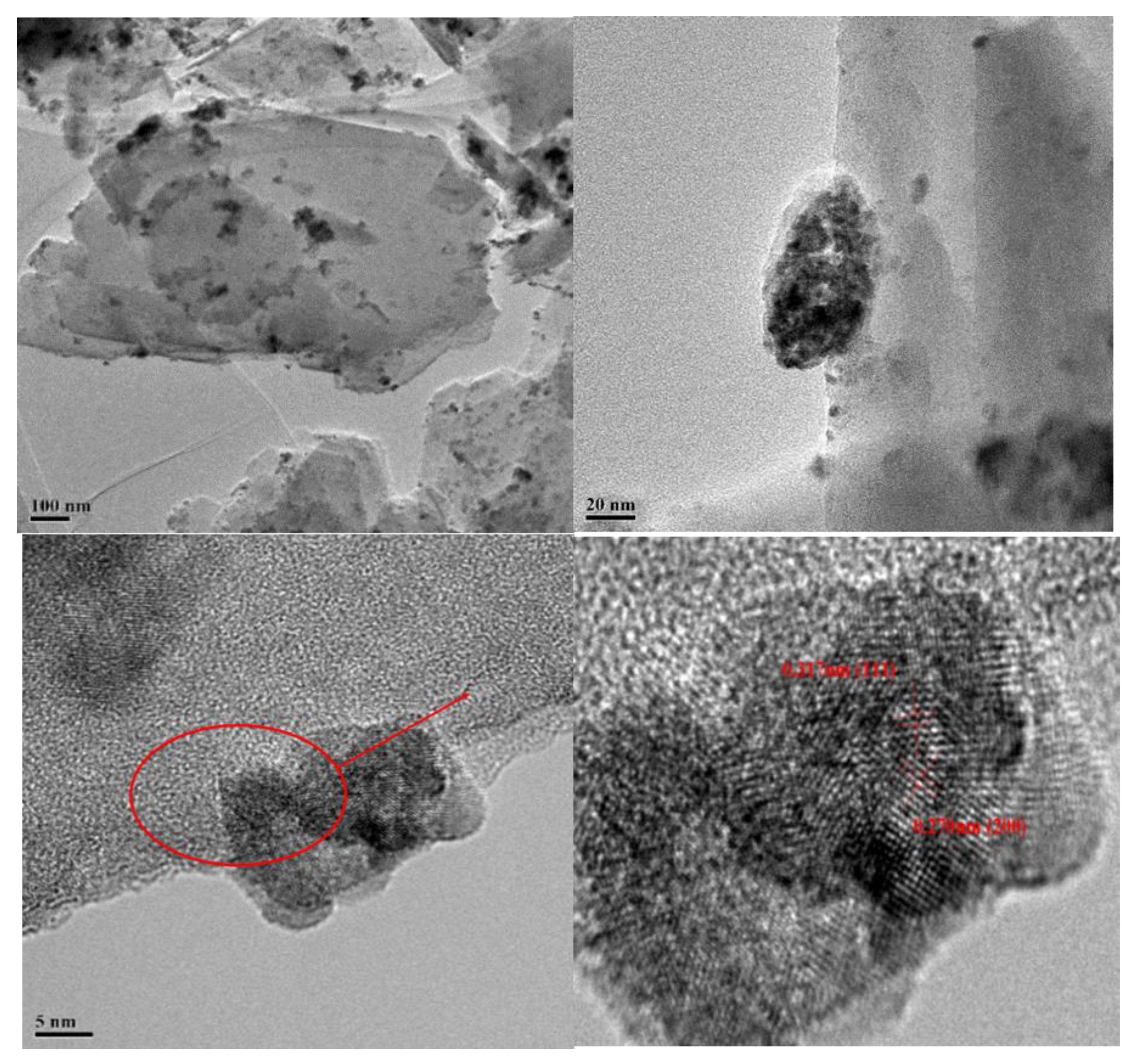Polymers 14 05187 g005