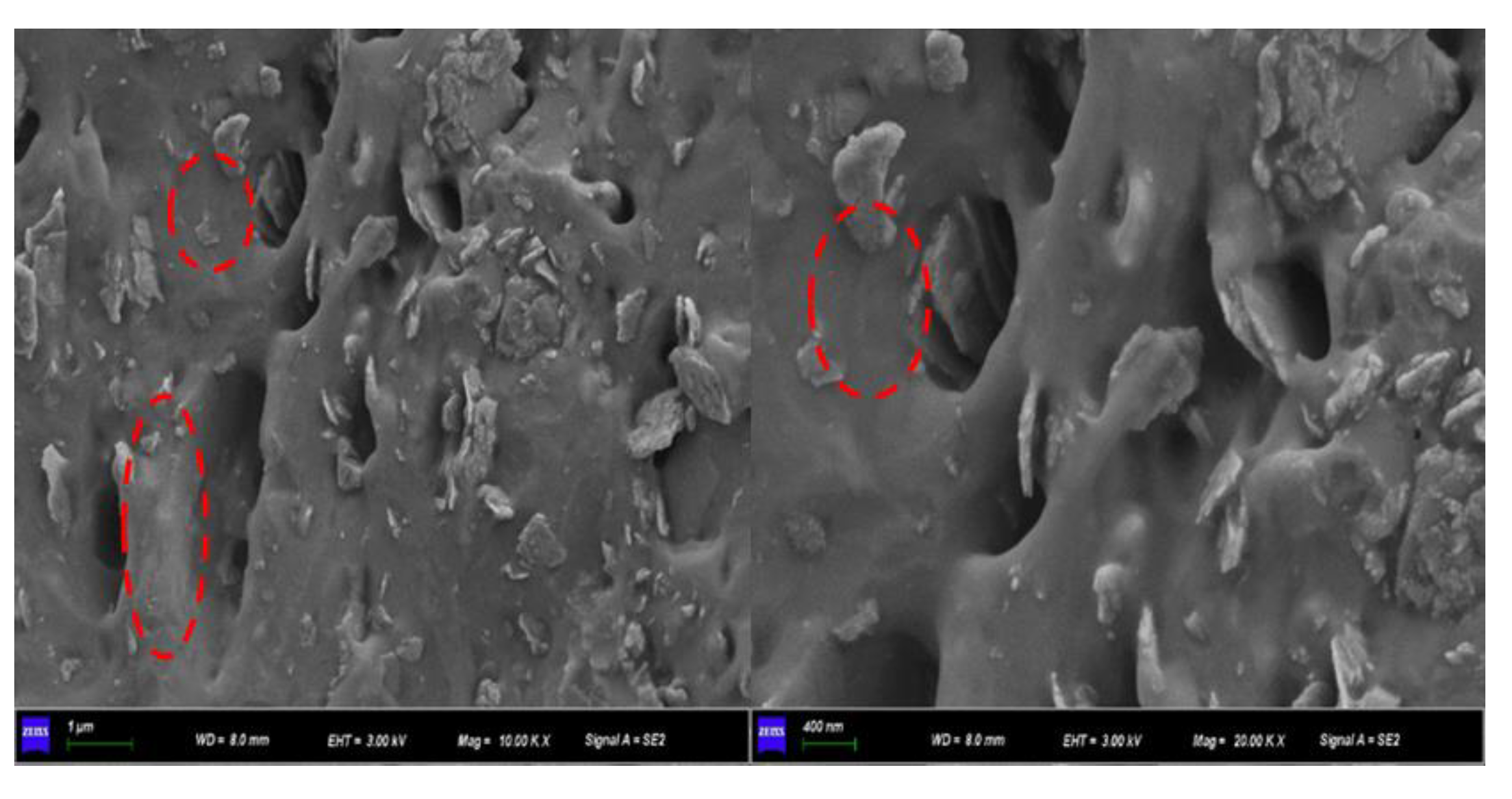 Polymers 14 05187 g009