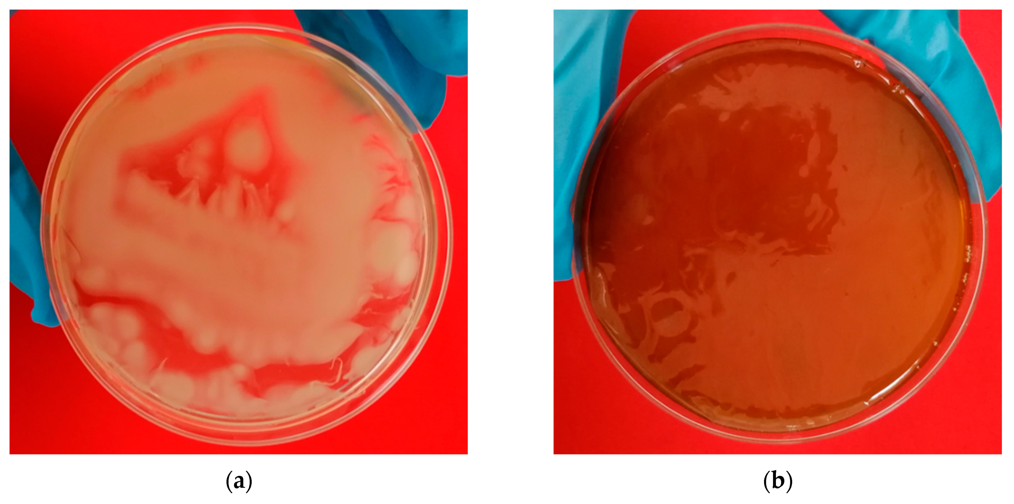 Polymers 14 05194 g003