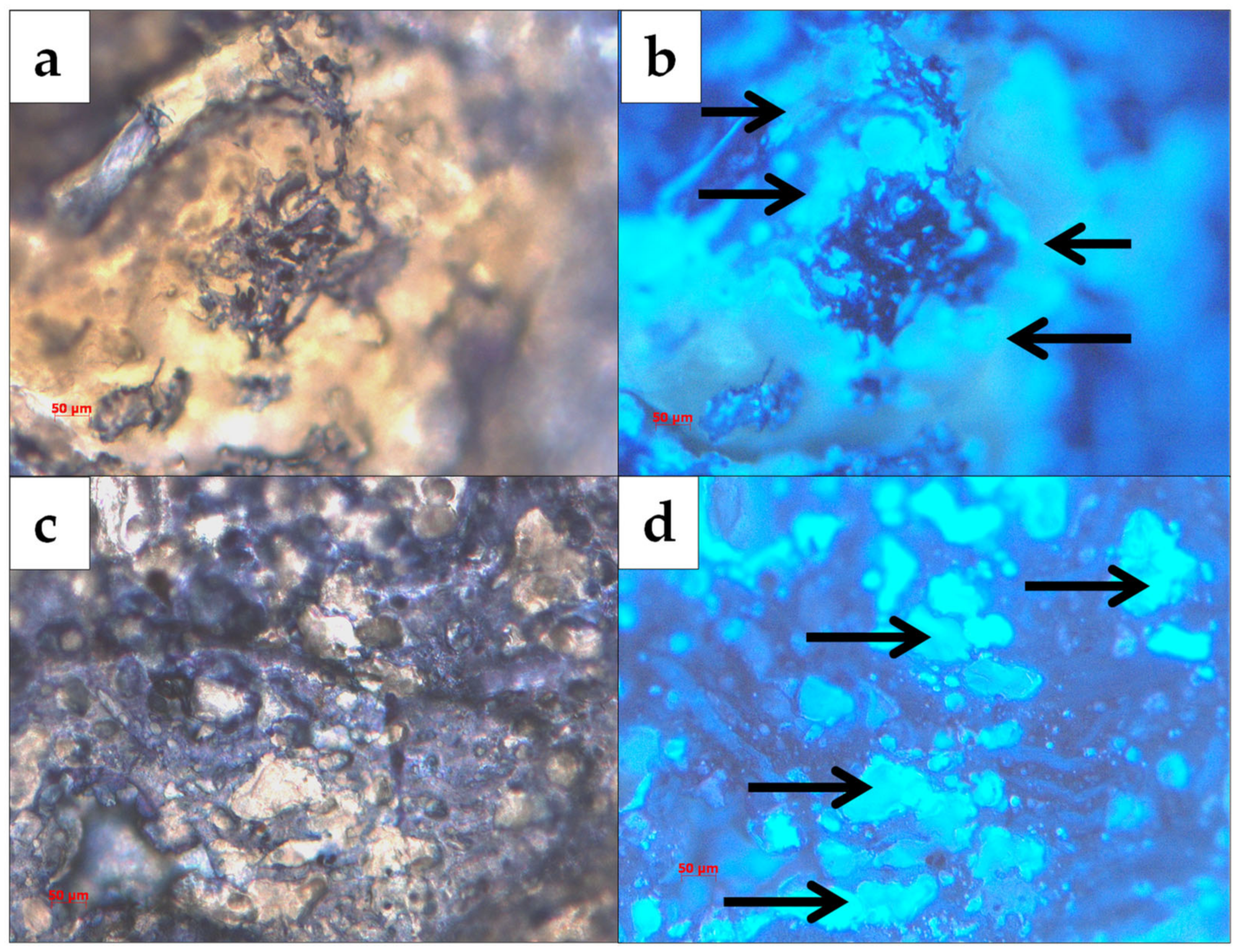Polymers 14 05196 g001
