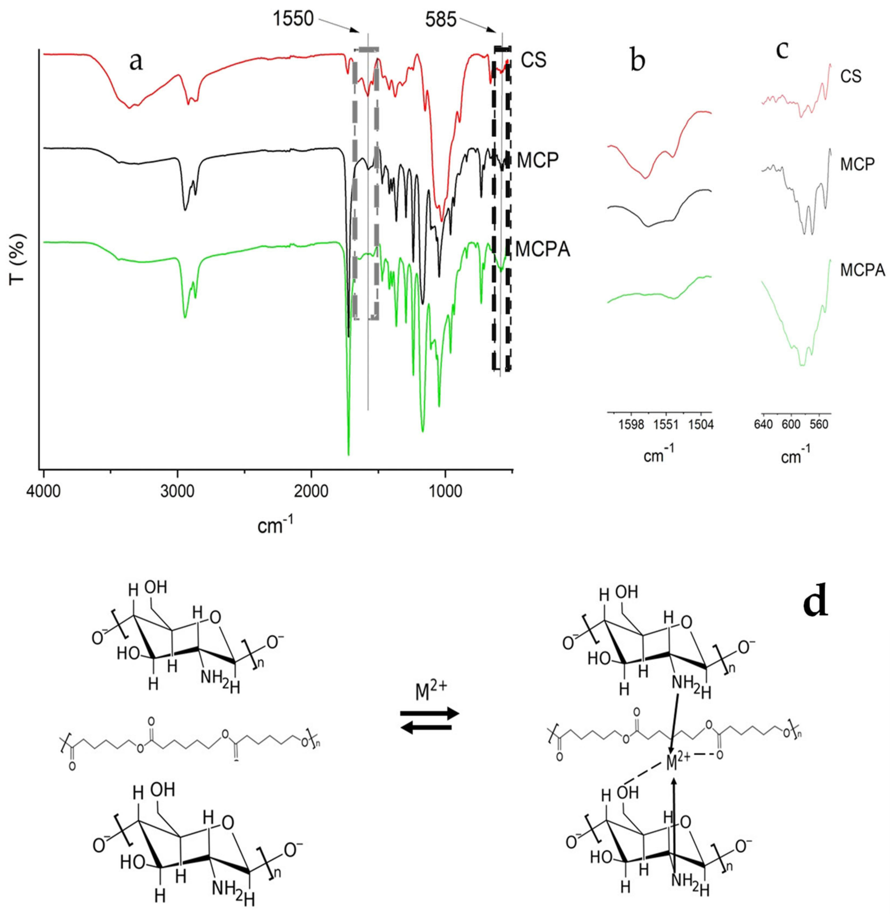 Polymers 14 05196 g005