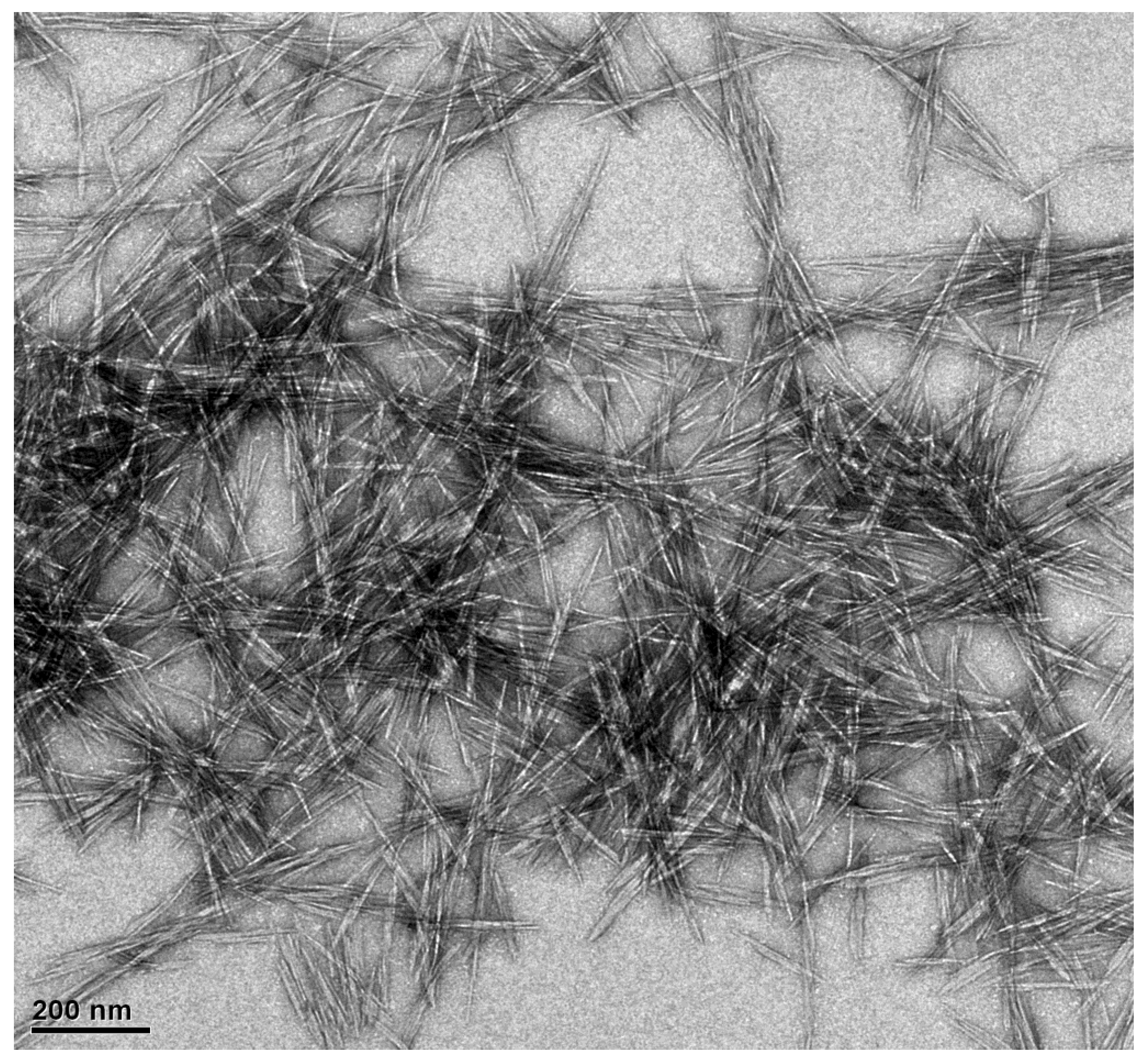 Polymers 14 05197 g003 Polymers 14 05197 g003