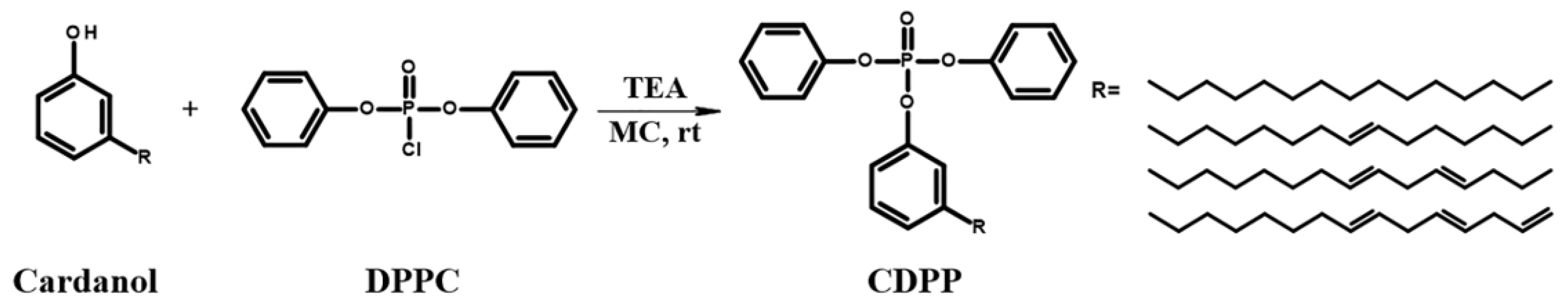 Polymers 14 05205 g001