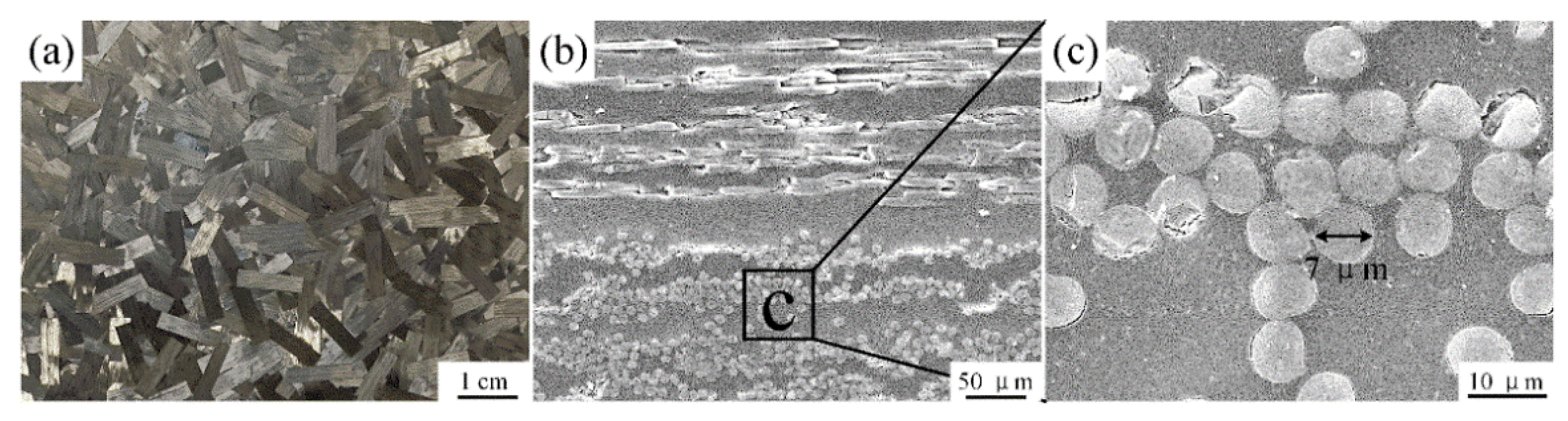 Polymers 14 05235 g002