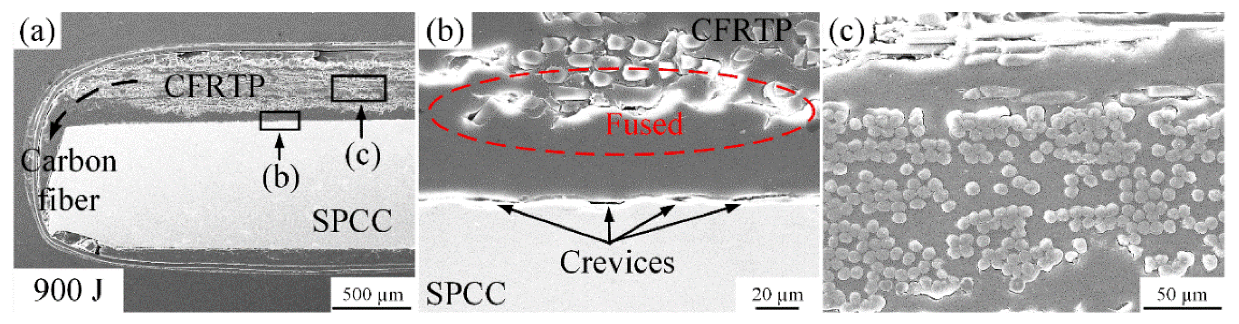 Polymers 14 05235 g009