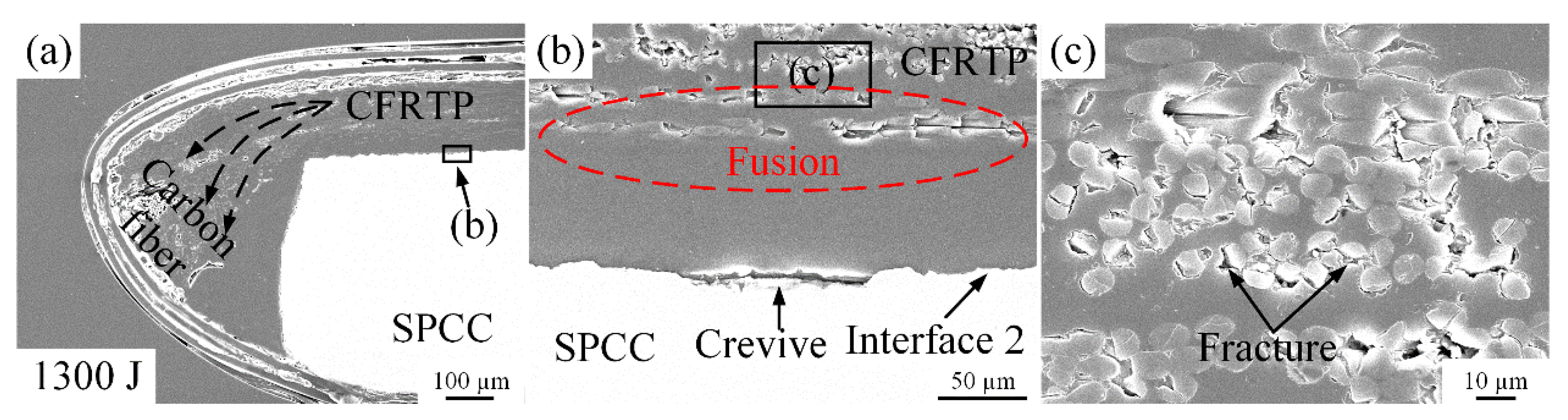 Polymers 14 05235 g011