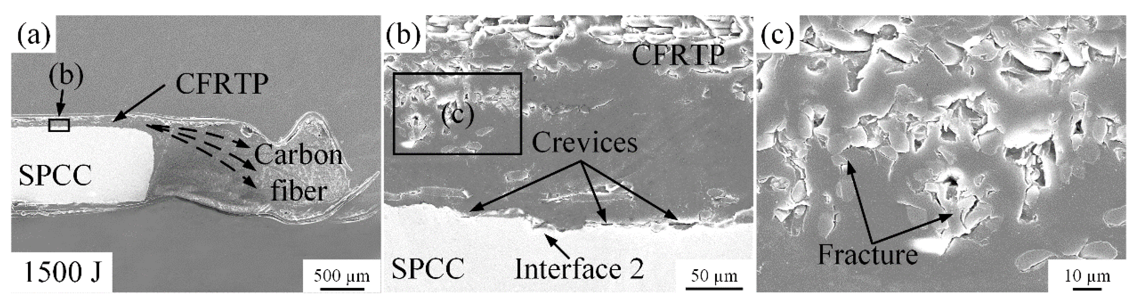 Polymers 14 05235 g012