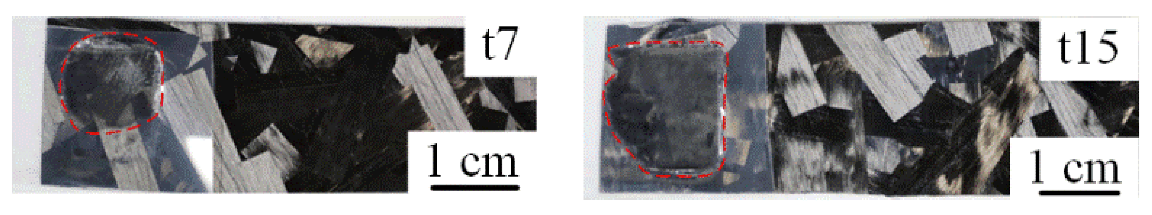 Polymers 14 05235 g019