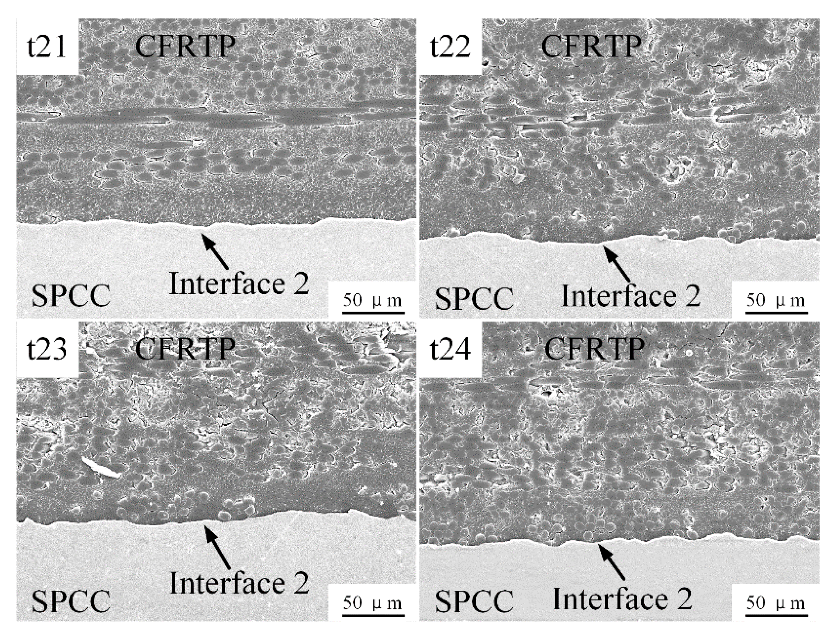 Polymers 14 05235 g021