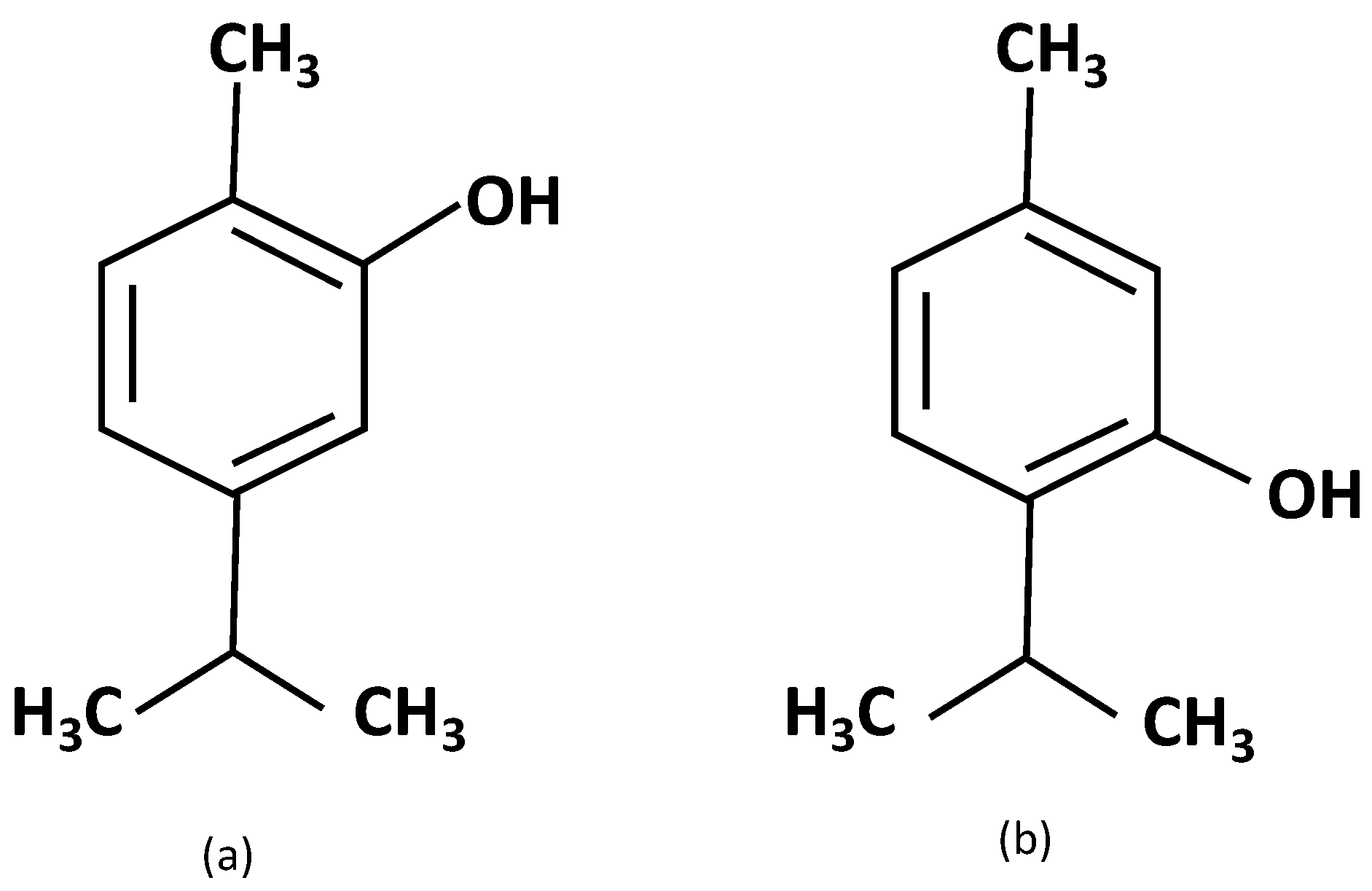 Polymers 14 05242 g001
