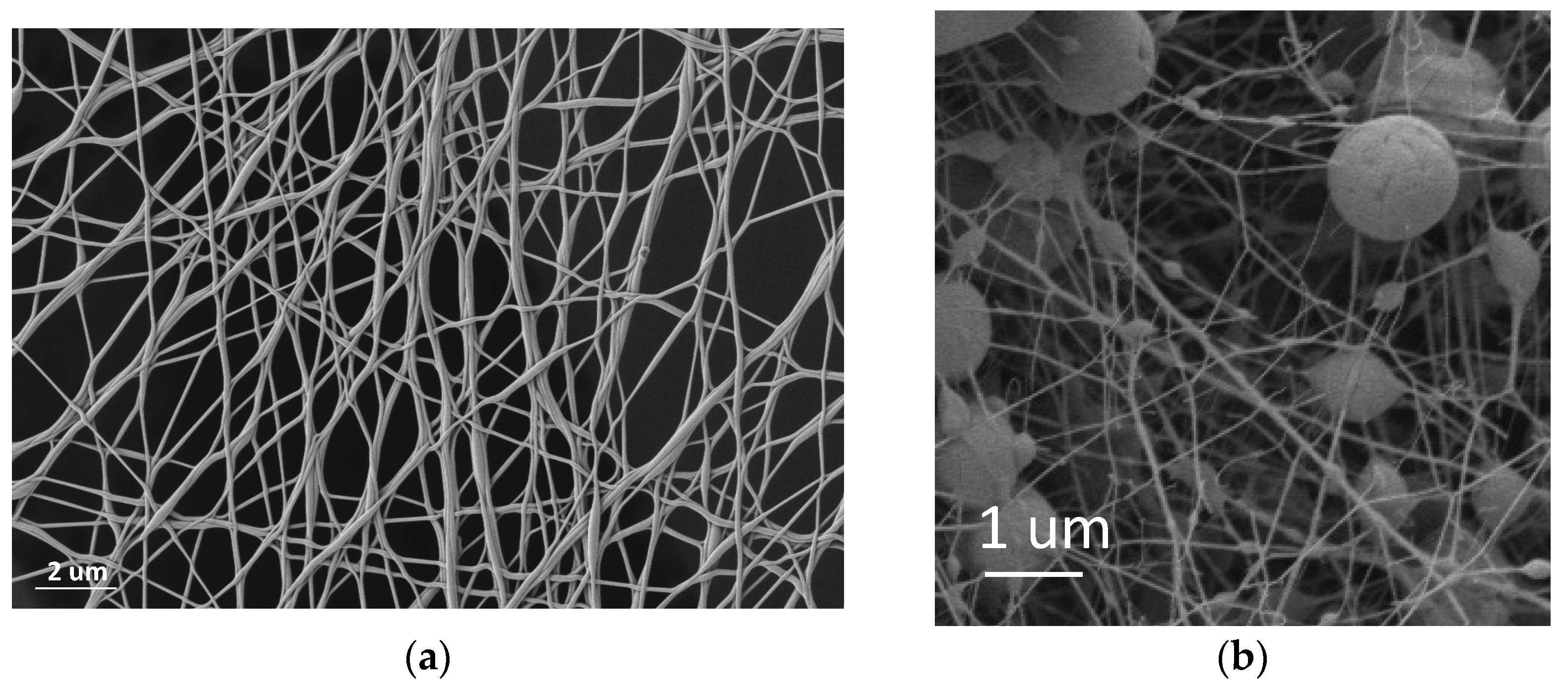 Polymers 14 05242 g004