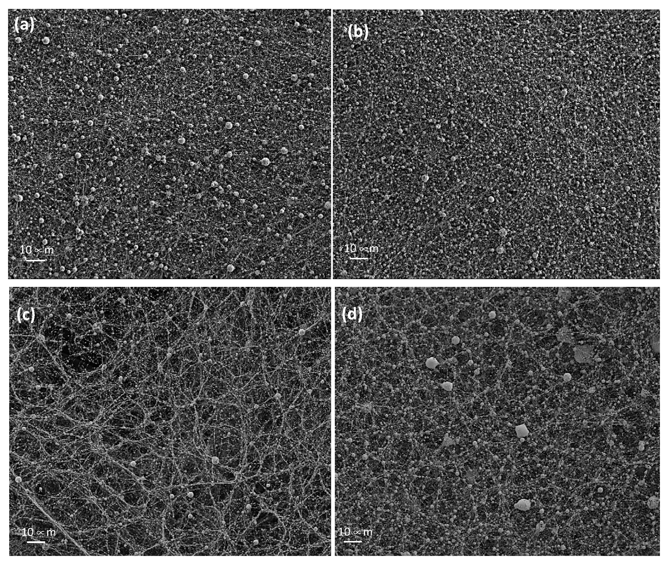 Polymers 14 05242 g005