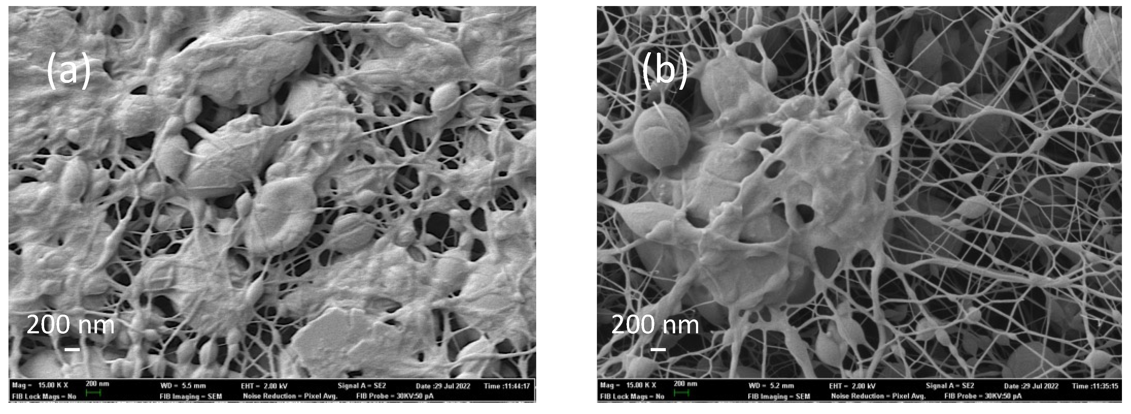 Polymers 14 05242 g010