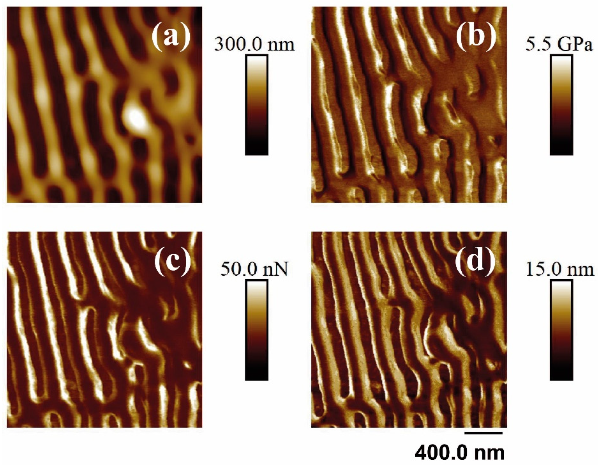 Polymers 14 05243 g008