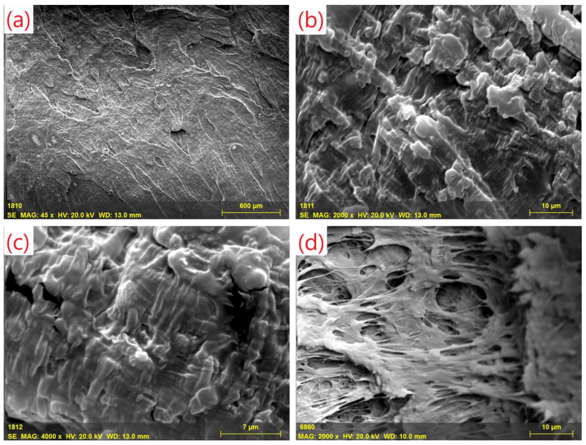 Polymers 14 05257 g002