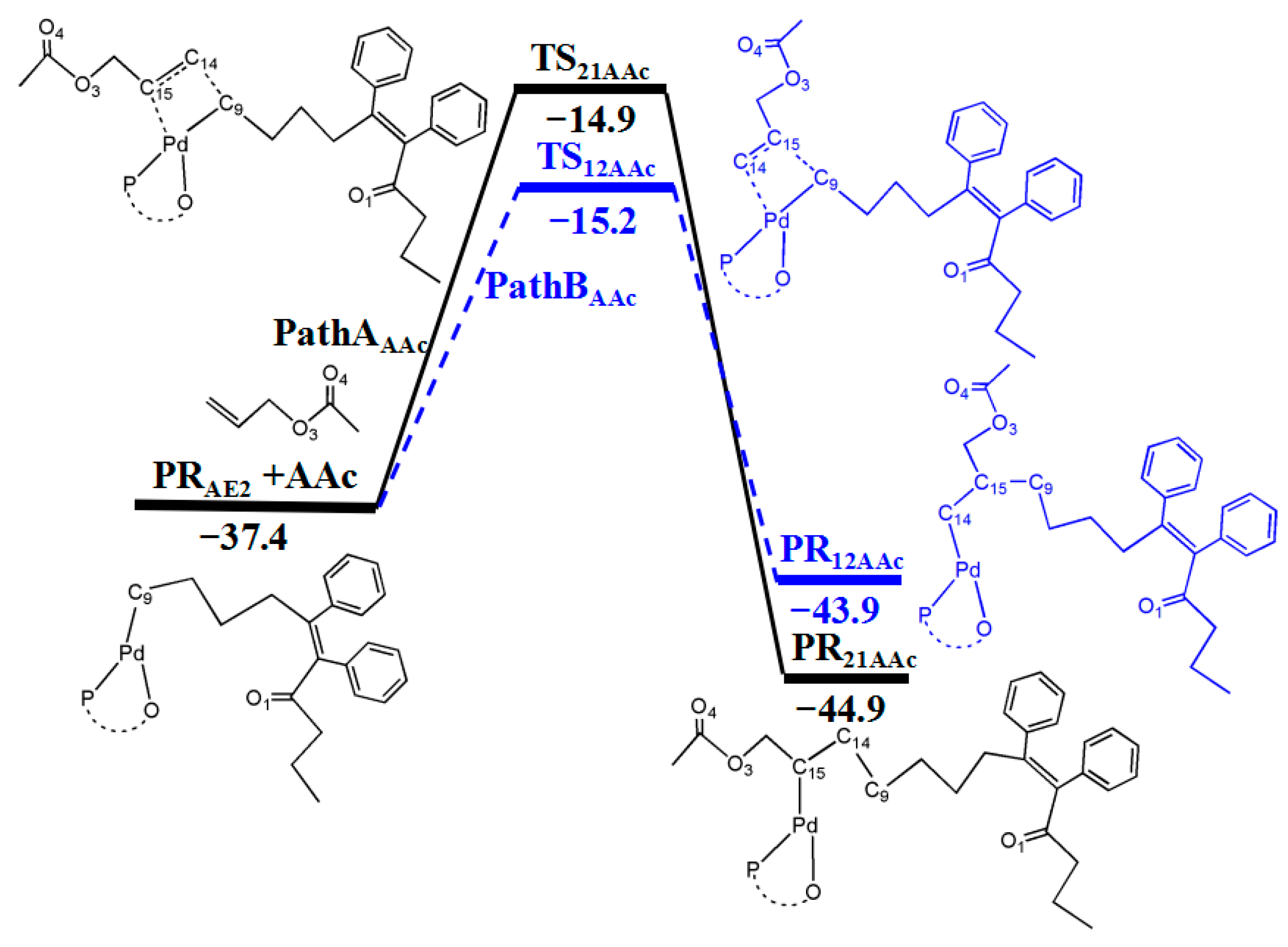 Polymers 14 05273 g011 Polymers 14 05273 g011