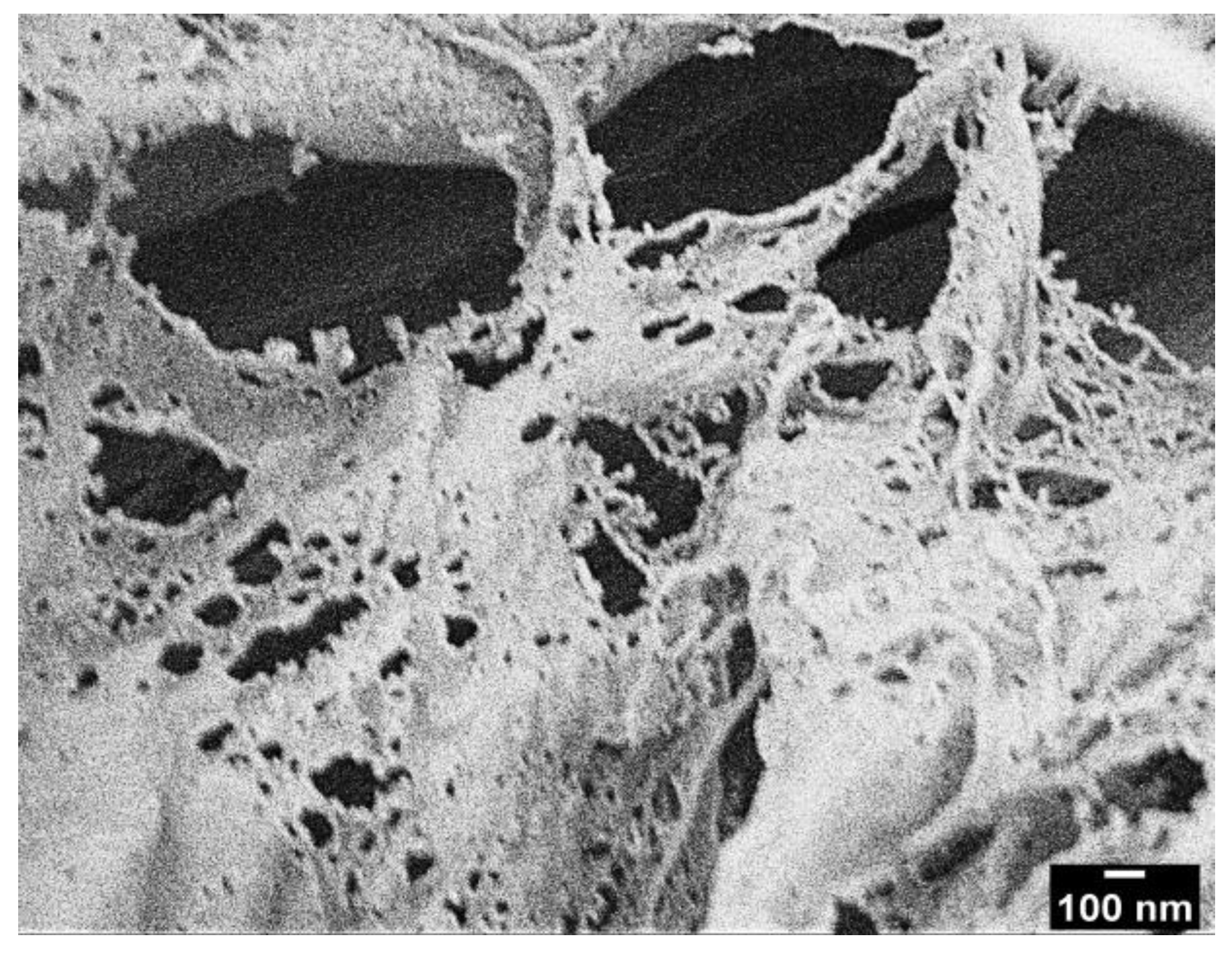 Polymers 14 05284 g001 Polymers 14 05284 g001