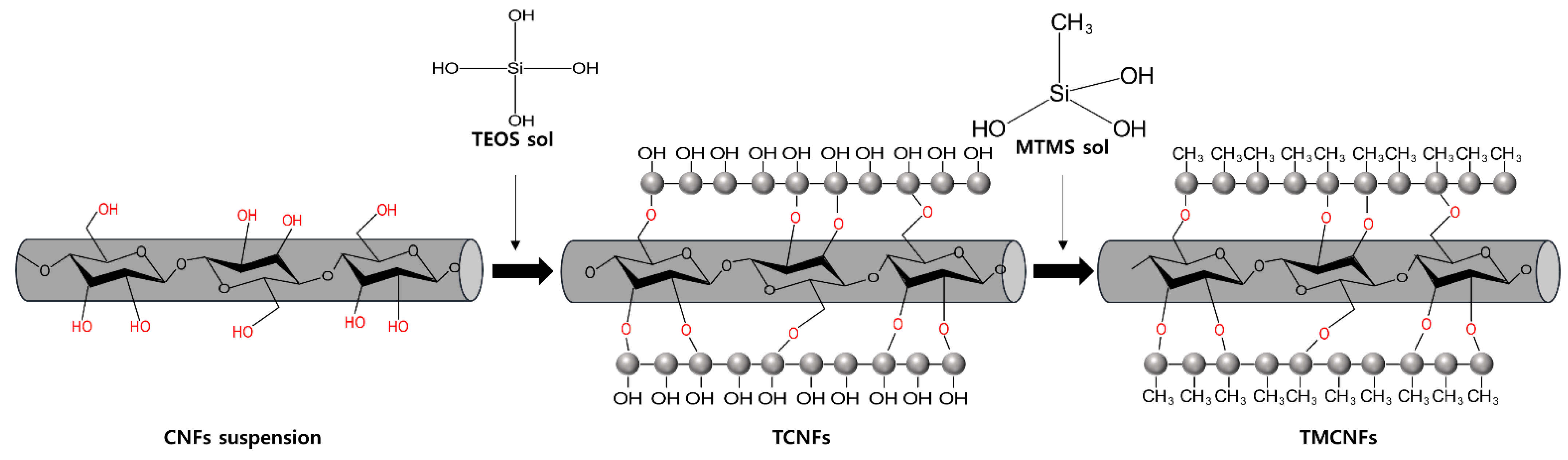 Polymers 14 05284 g002 Polymers 14 05284 g002