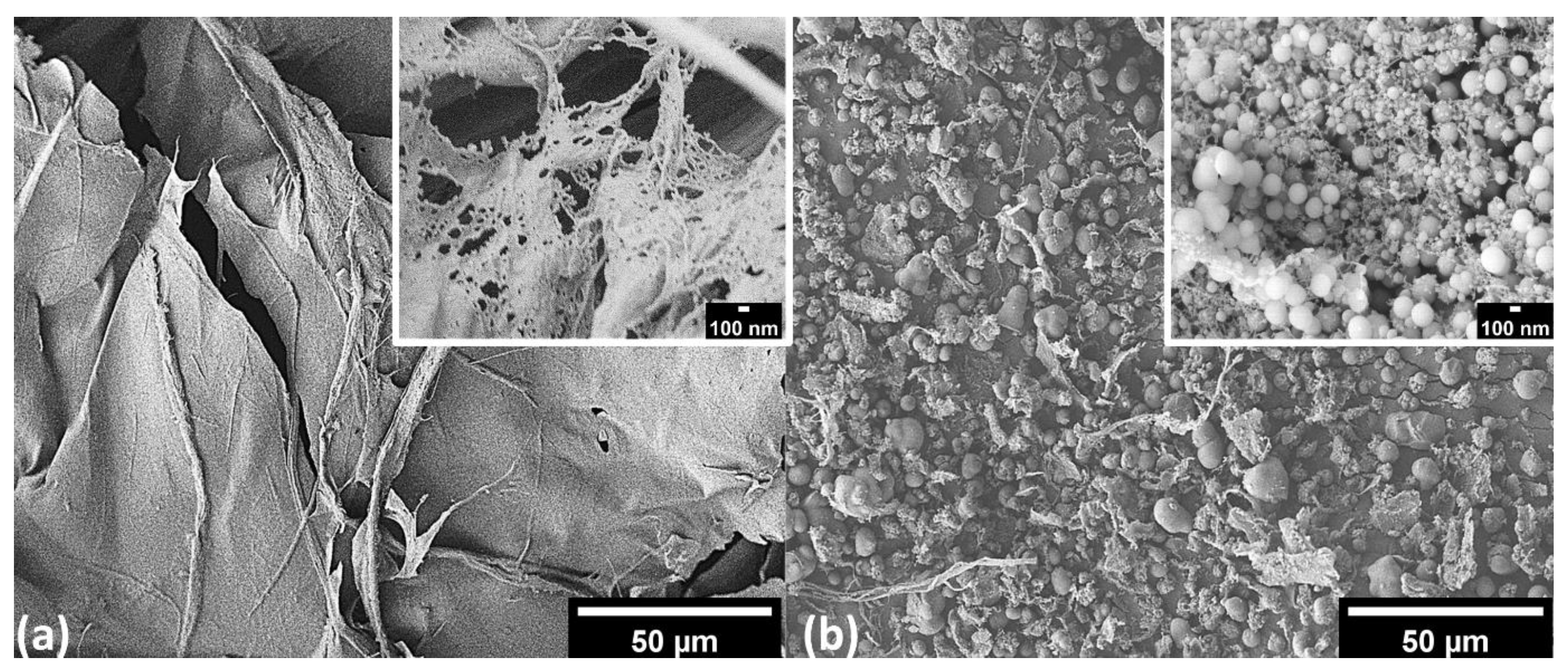 Polymers 14 05284 g006 Polymers 14 05284 g006