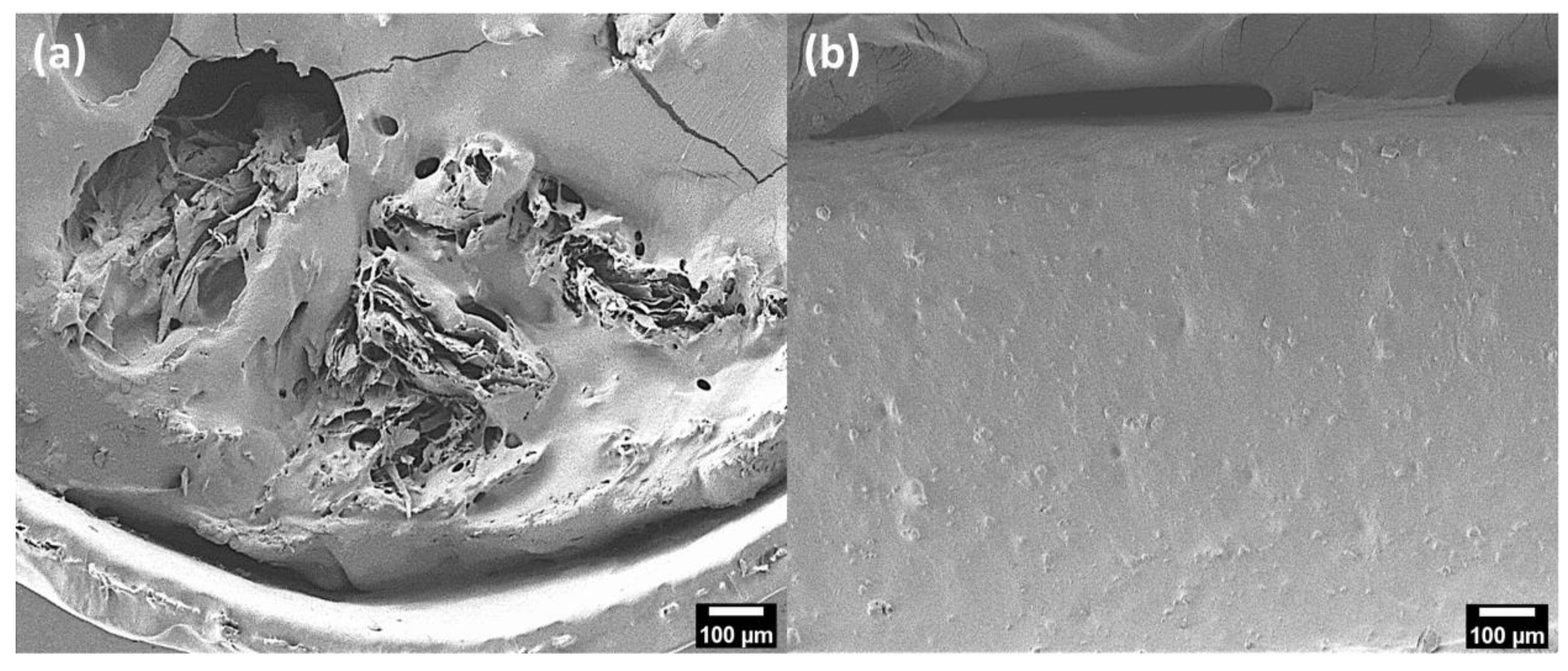 Polymers 14 05284 g007 Polymers 14 05284 g007