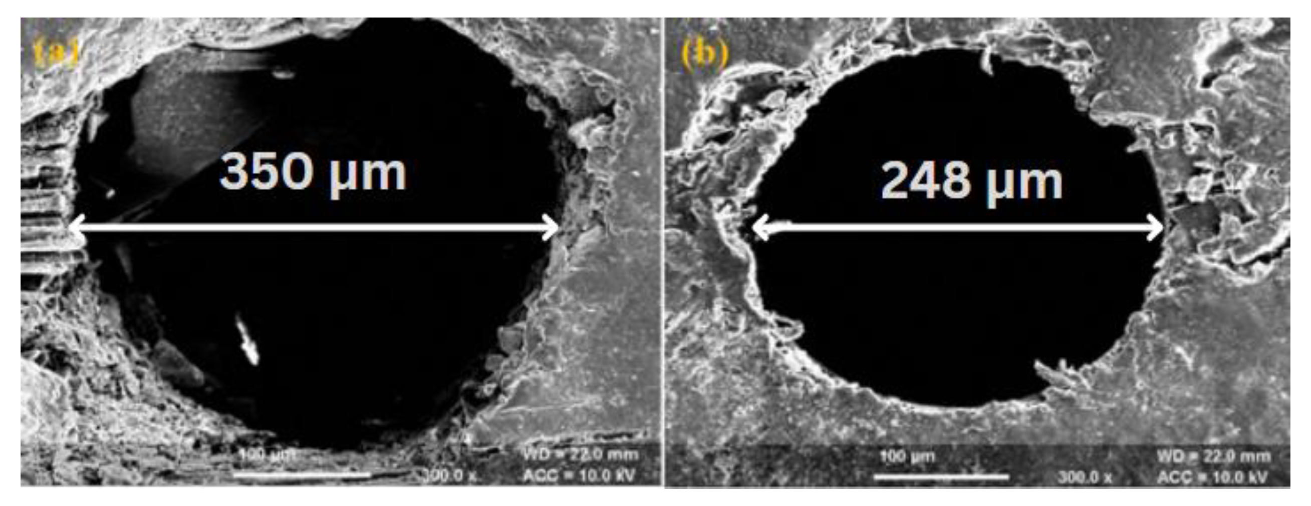 Polymers 14 05291 g005 Polymers 14 05291 g005