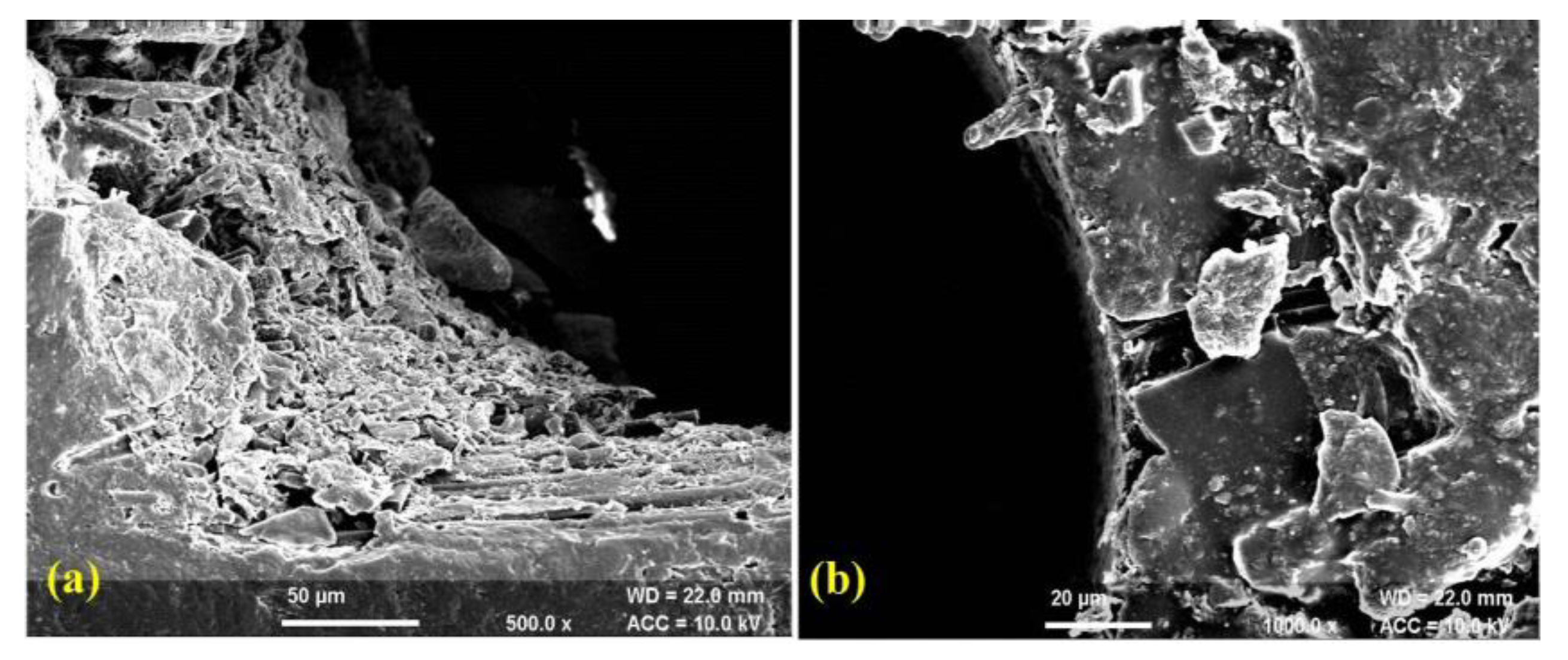 Polymers 14 05291 g006 Polymers 14 05291 g006