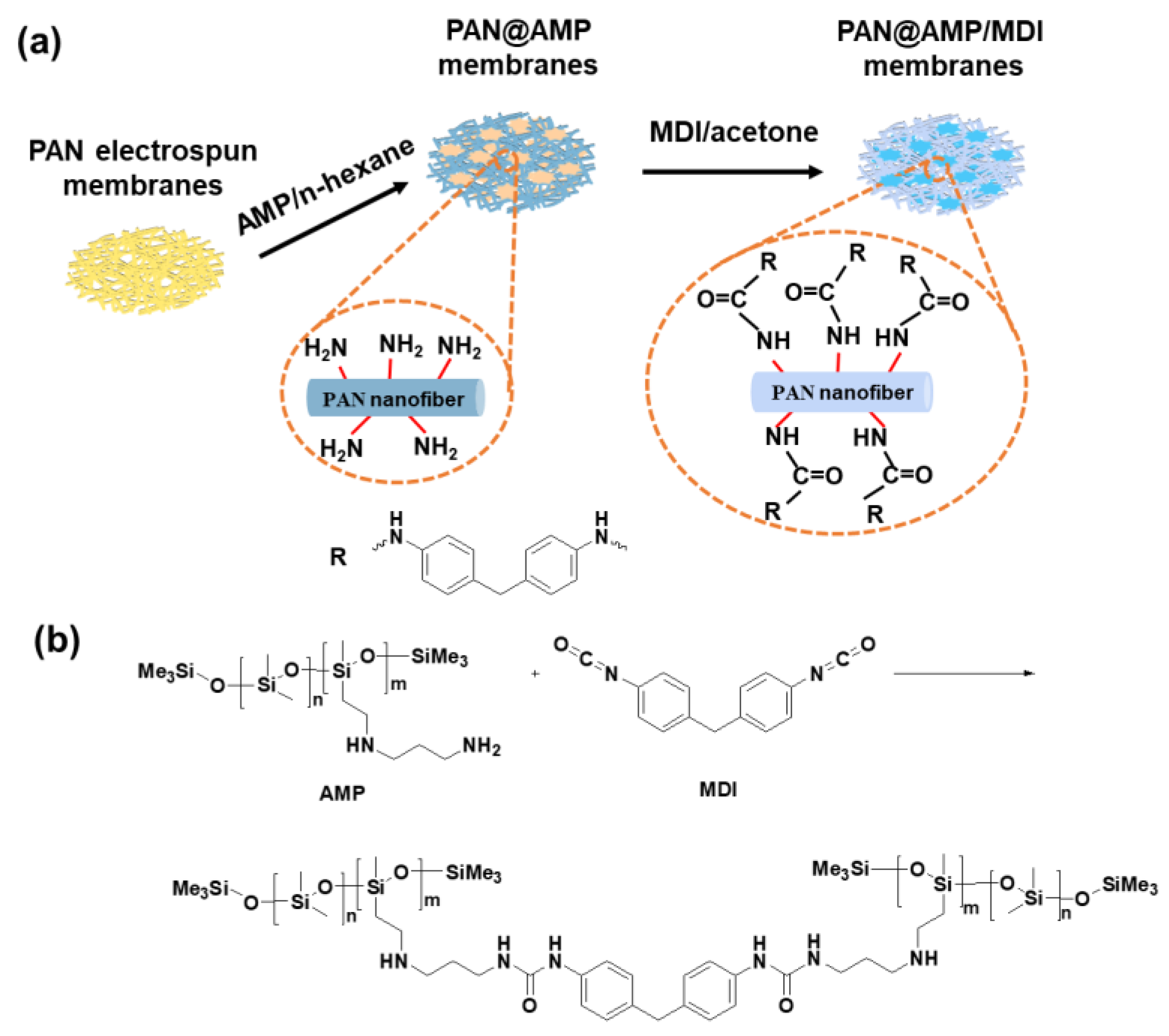 Polymers 14 05295 g001