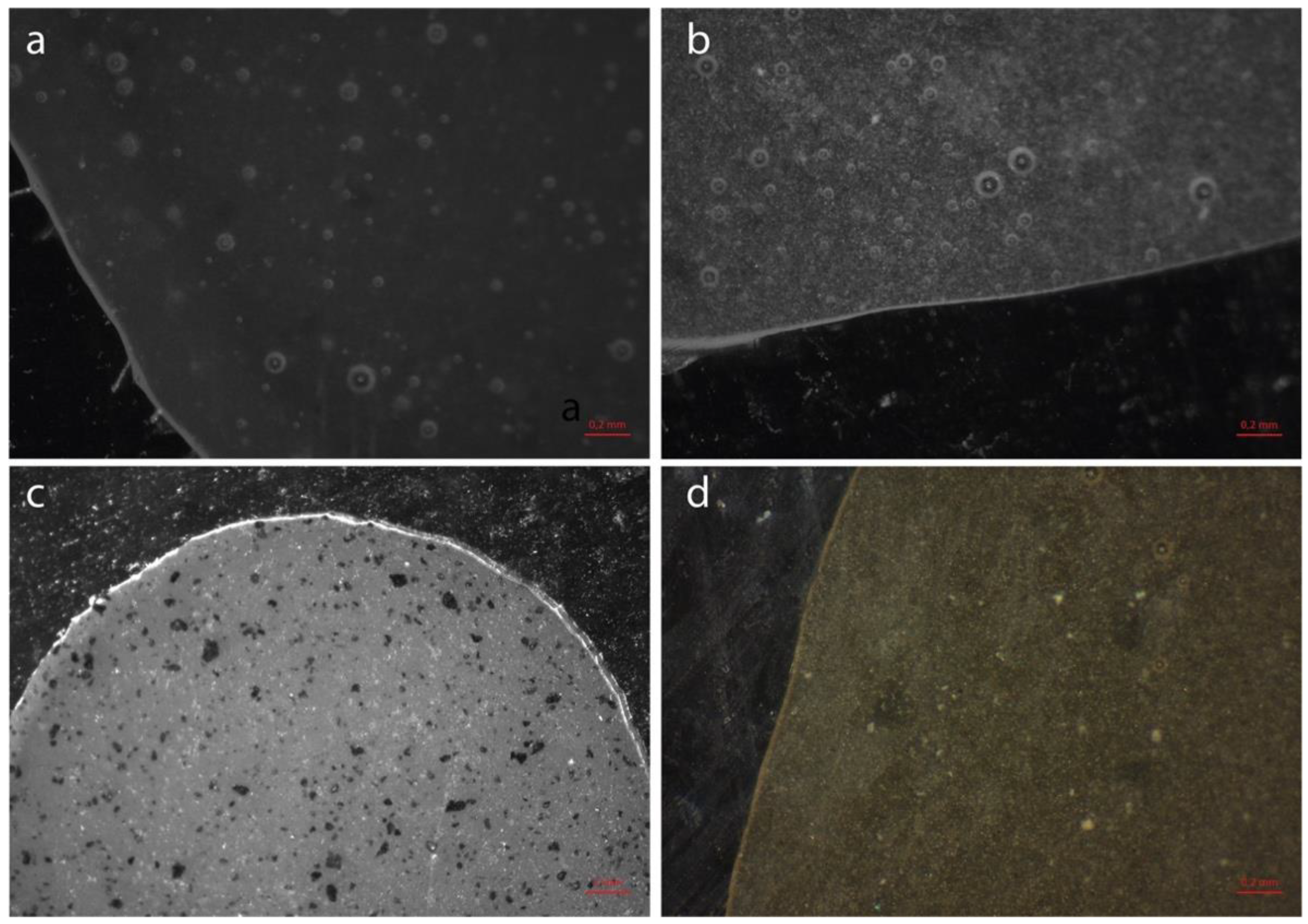 Polymers 14 05301 g005 Polymers 14 05301 g005